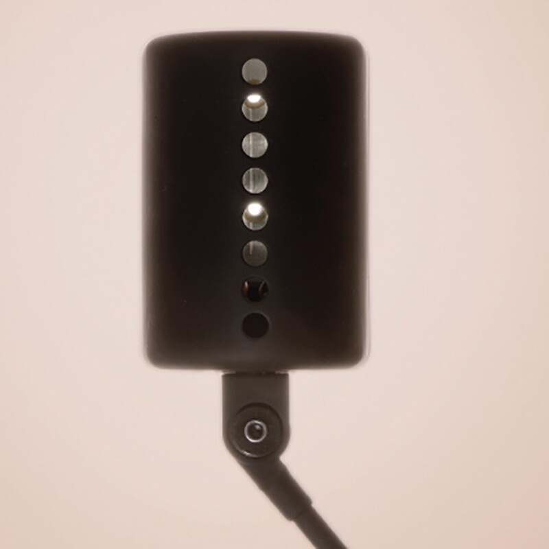 Daphine Cloe LED Desk Lamp