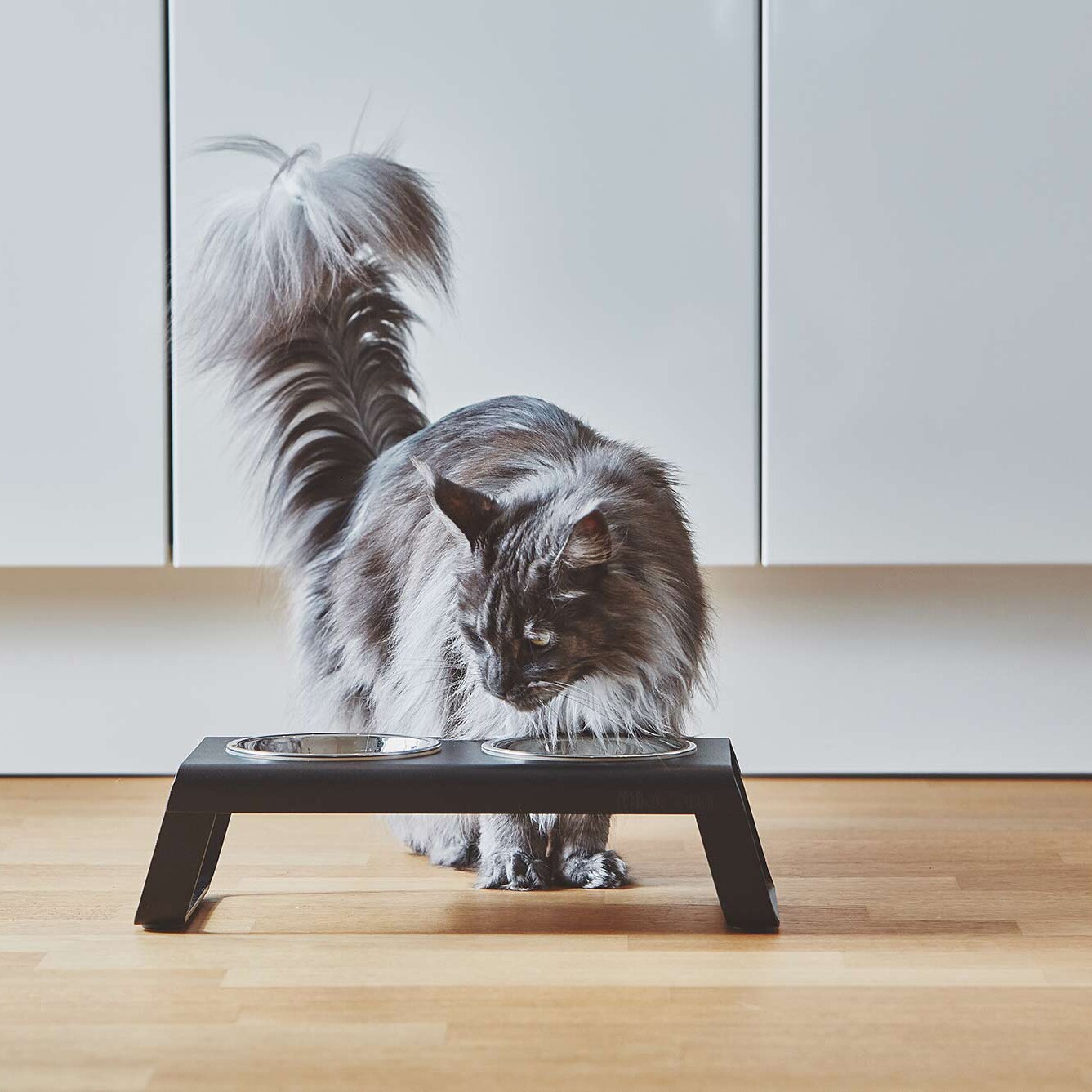 Desco Cat Bowl Stand S Aluminium