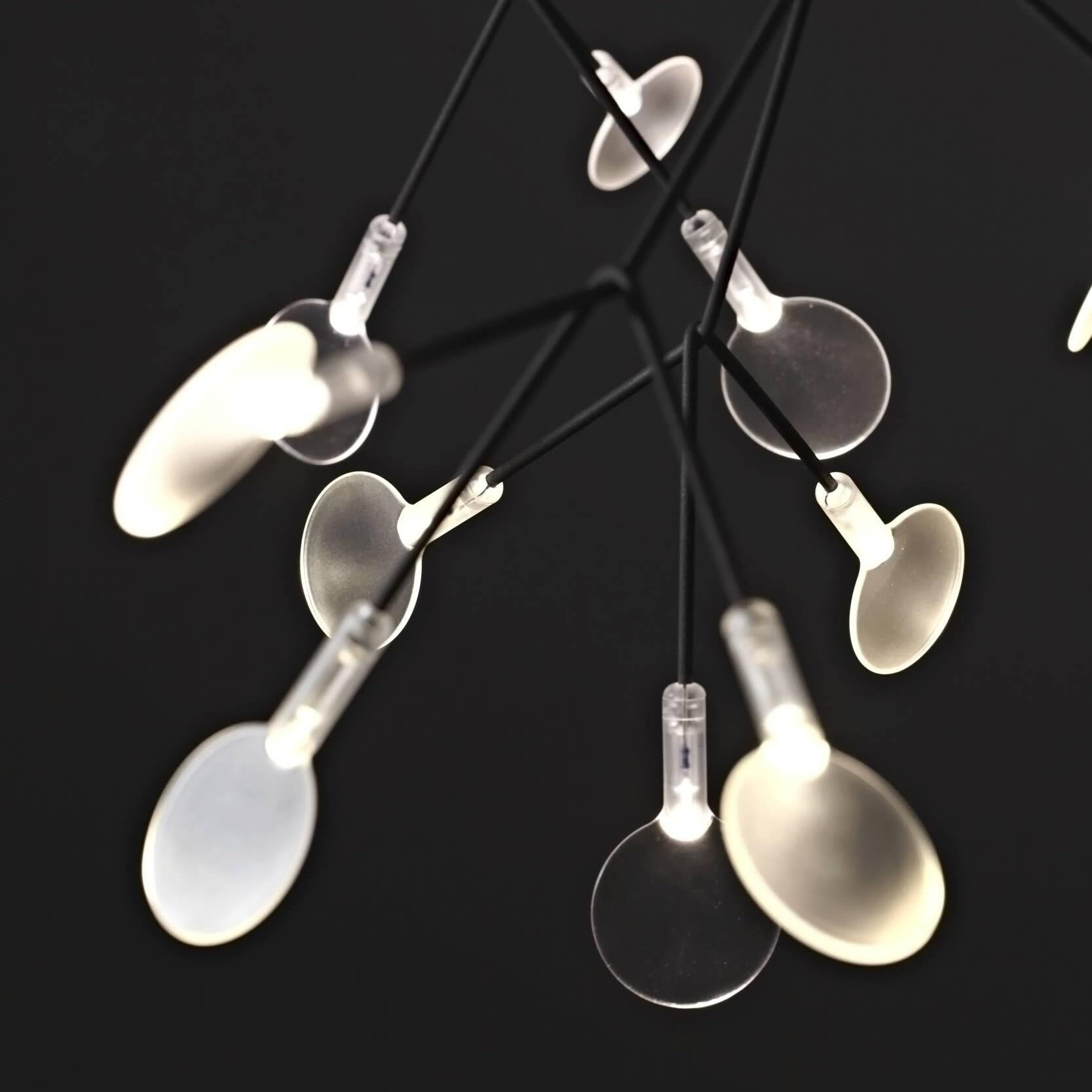 Heracleum III Small LED Suspension Lamp