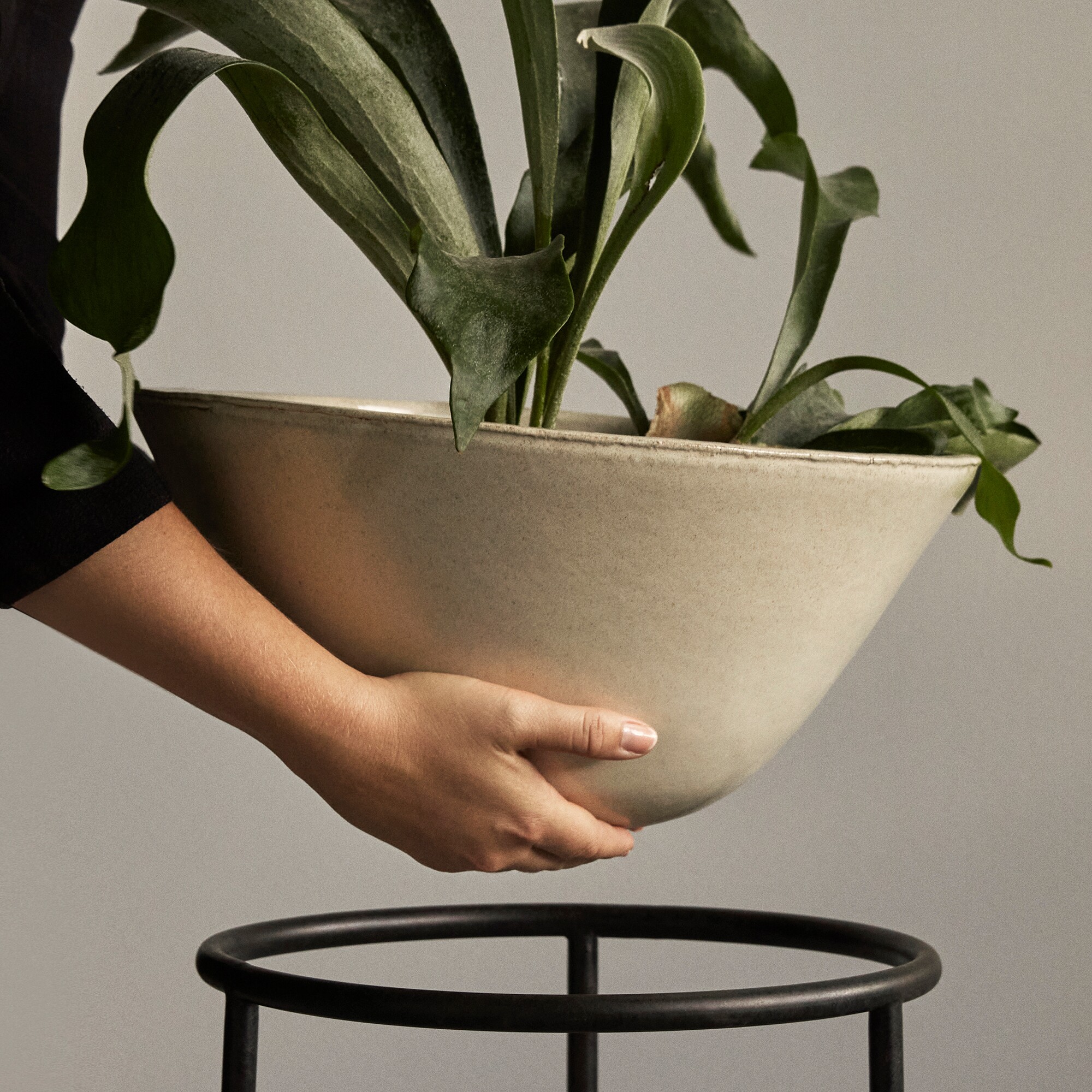 Daiza Planter H 35cm, Ø 48cm