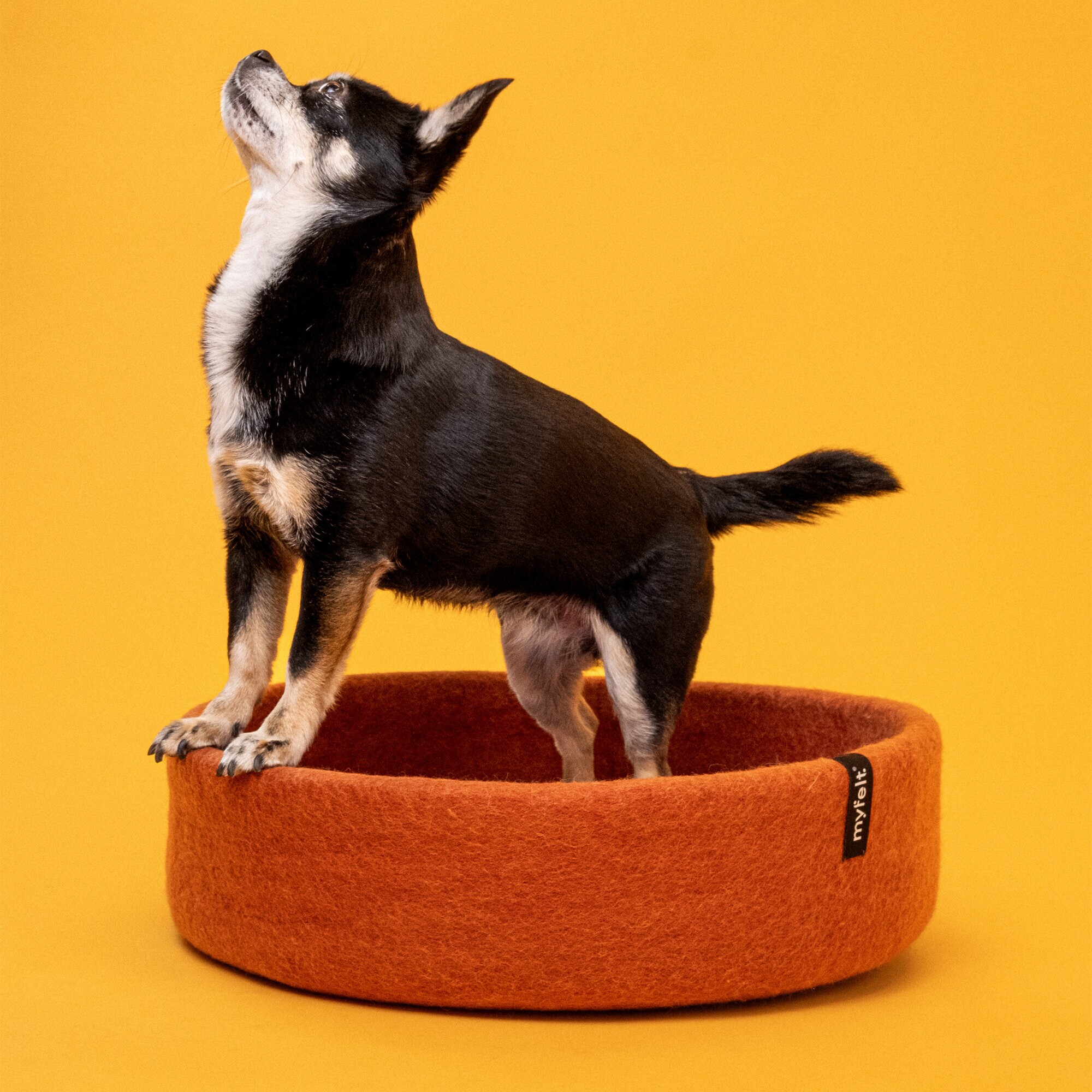 Lora Dog Basket Ø 40cm