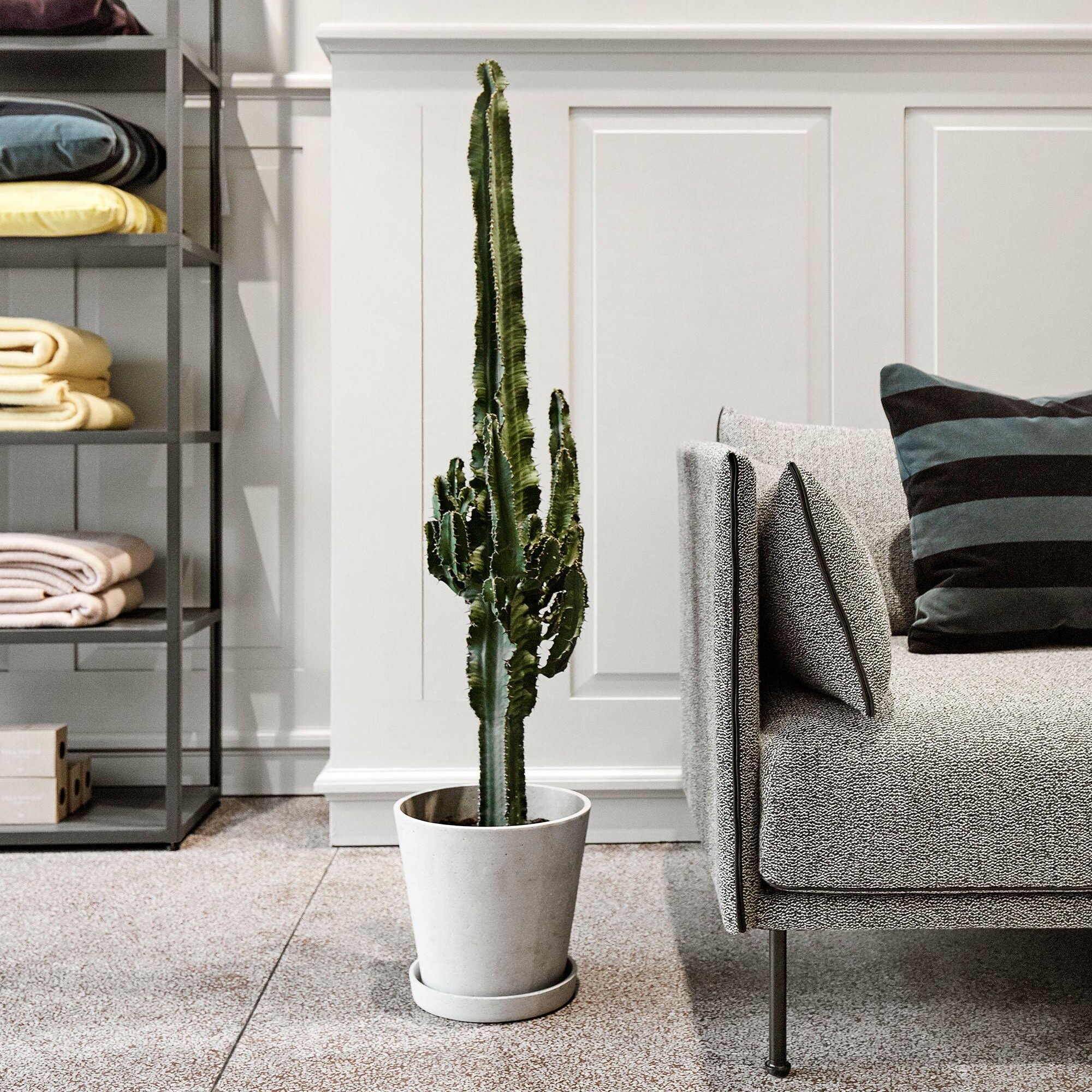 Flowerpot With Saucer XXL