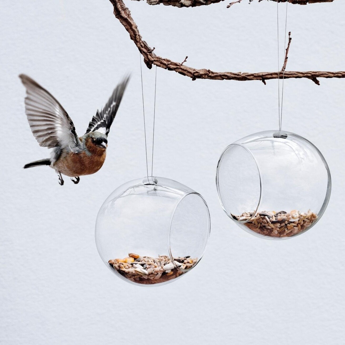 Mini Bird Feeders Set Of 2