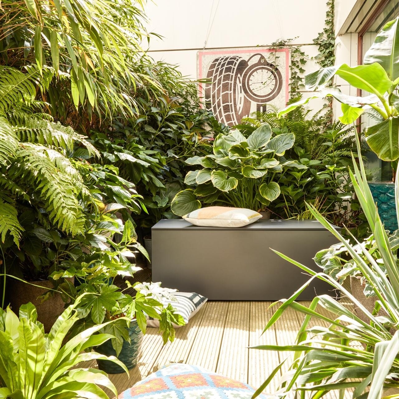 El Pecho Cushion Box M