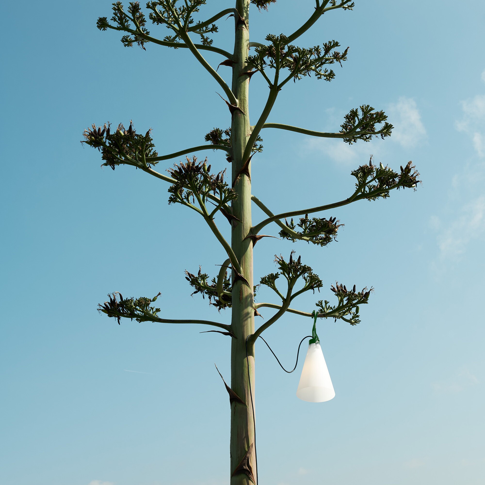 May Day Outdoor Lamp