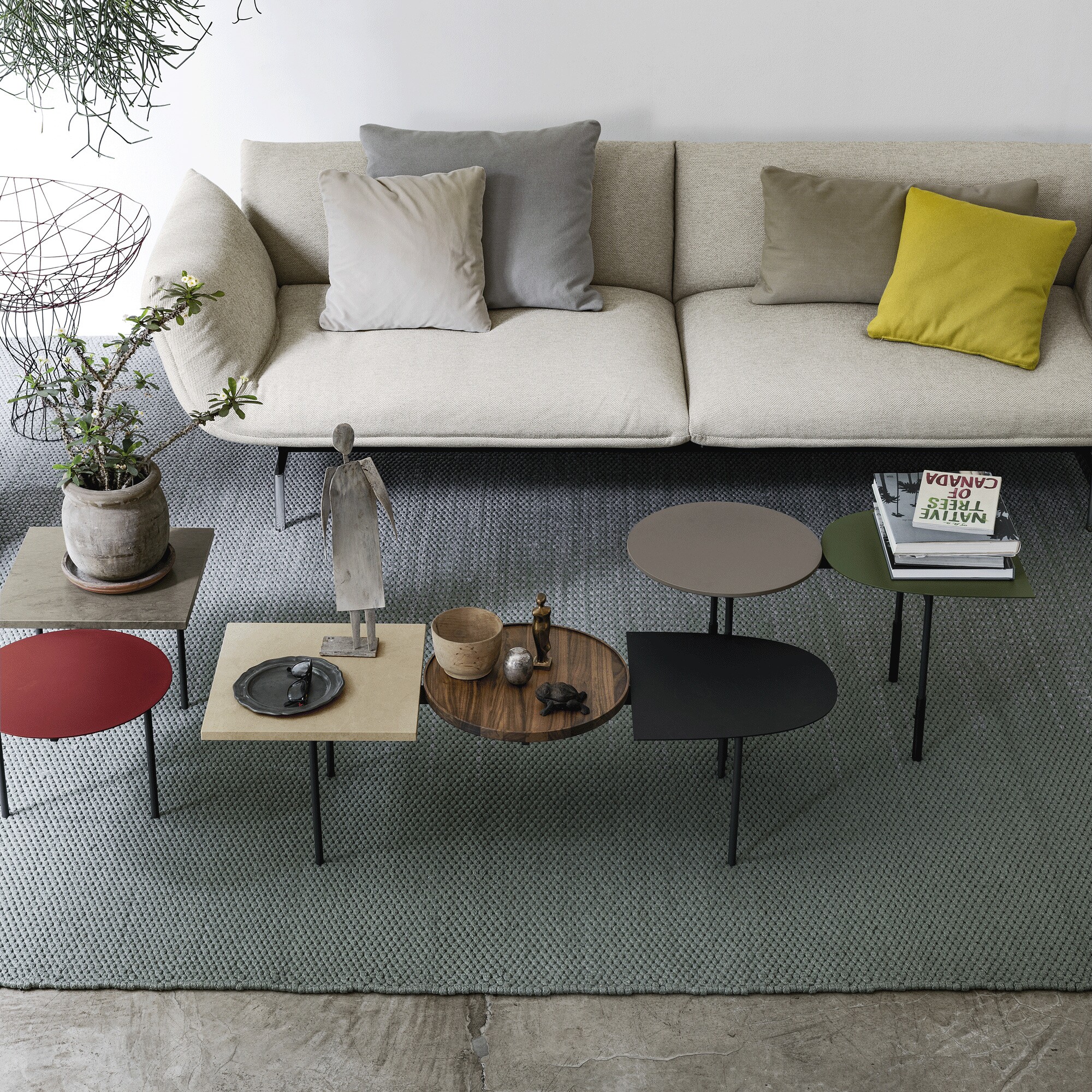 Mustache Outdoor Rug 200x300cm