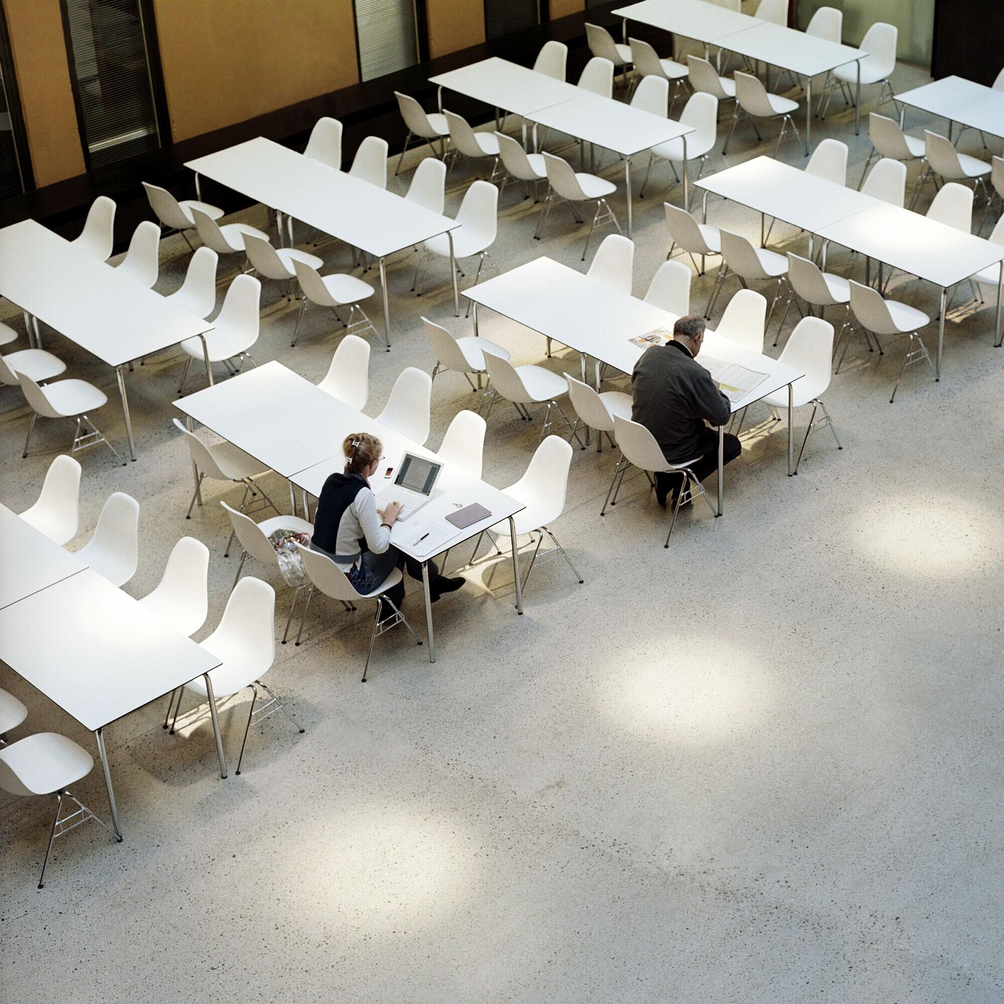 Eames Plastic Side Chair DSS RE Chromed Base