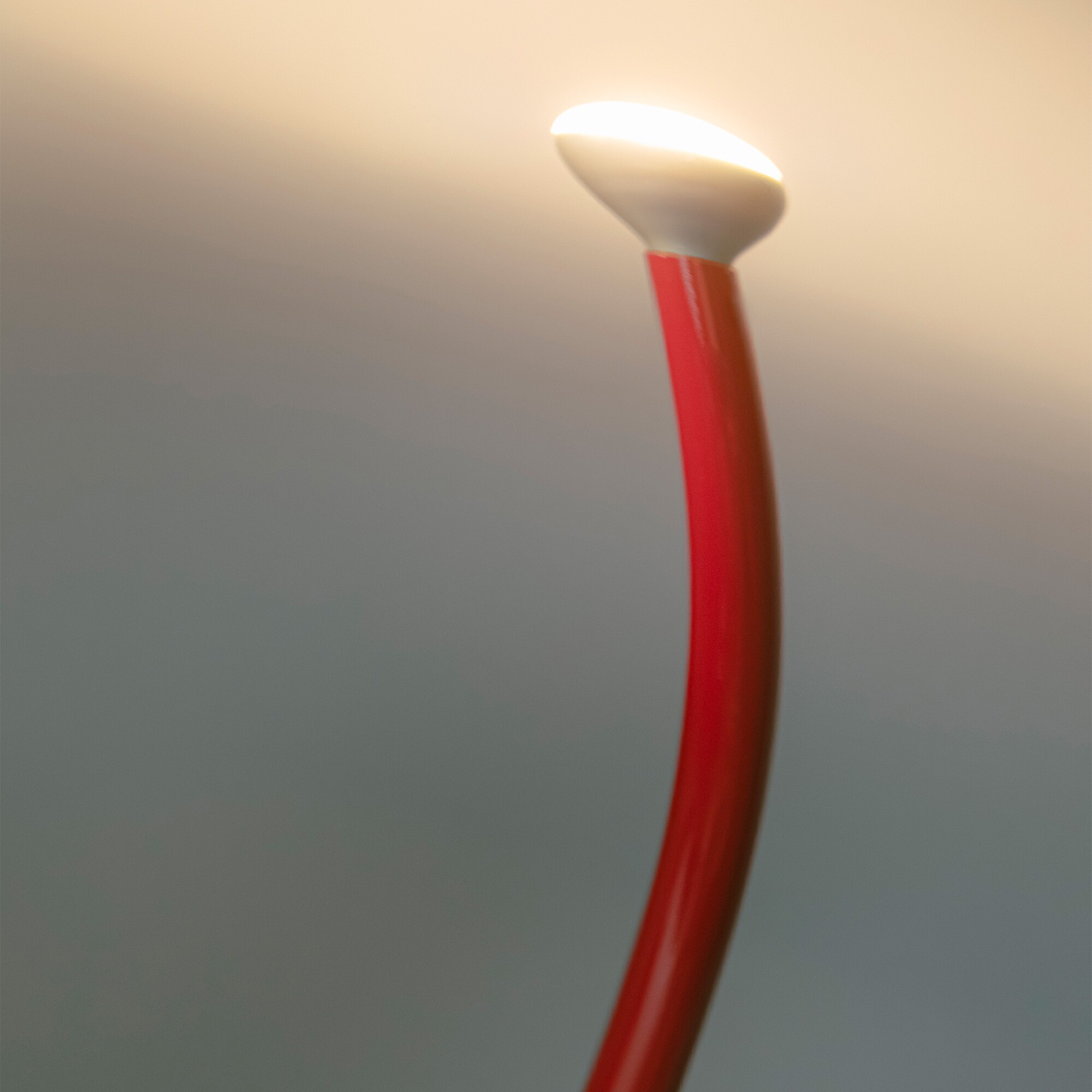 Luminator Floor Lamp