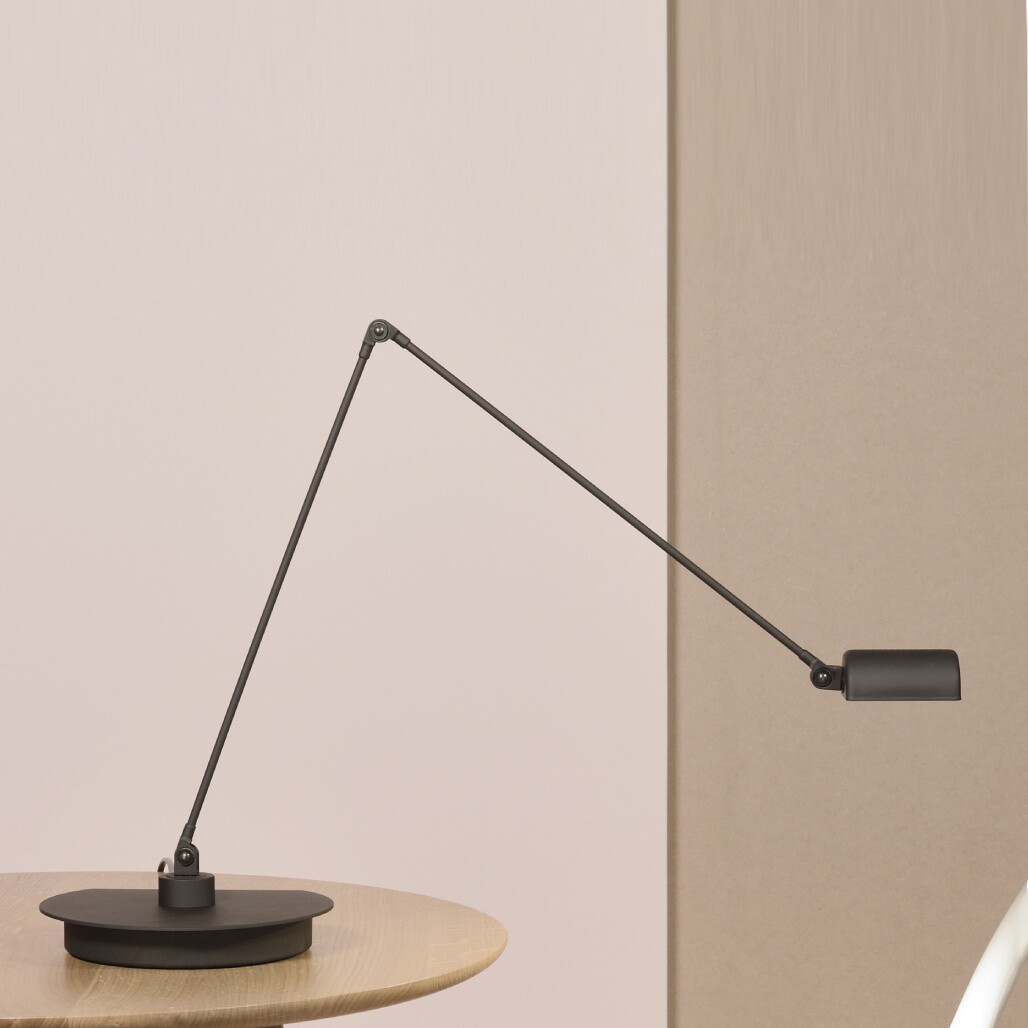 Daphine Cloe LED Desk Lamp