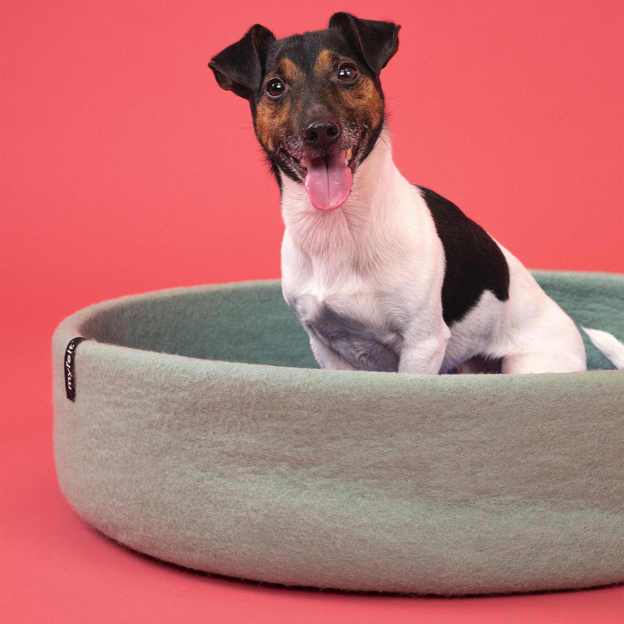 Fine Dog Basket Ø 60cm