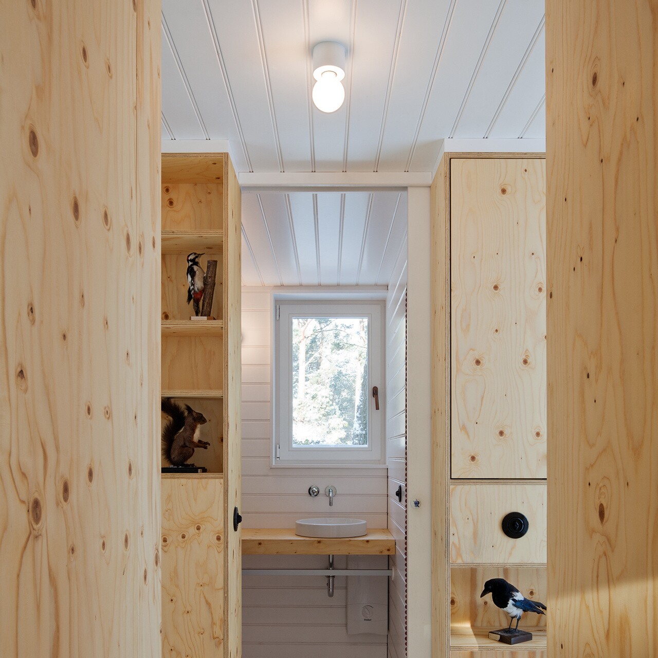 Eintopf Wall Lamp/Ceiling Lamp