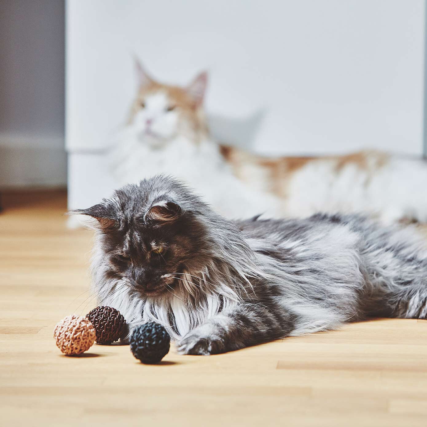 Filo Cat Toy Ball Set of 3