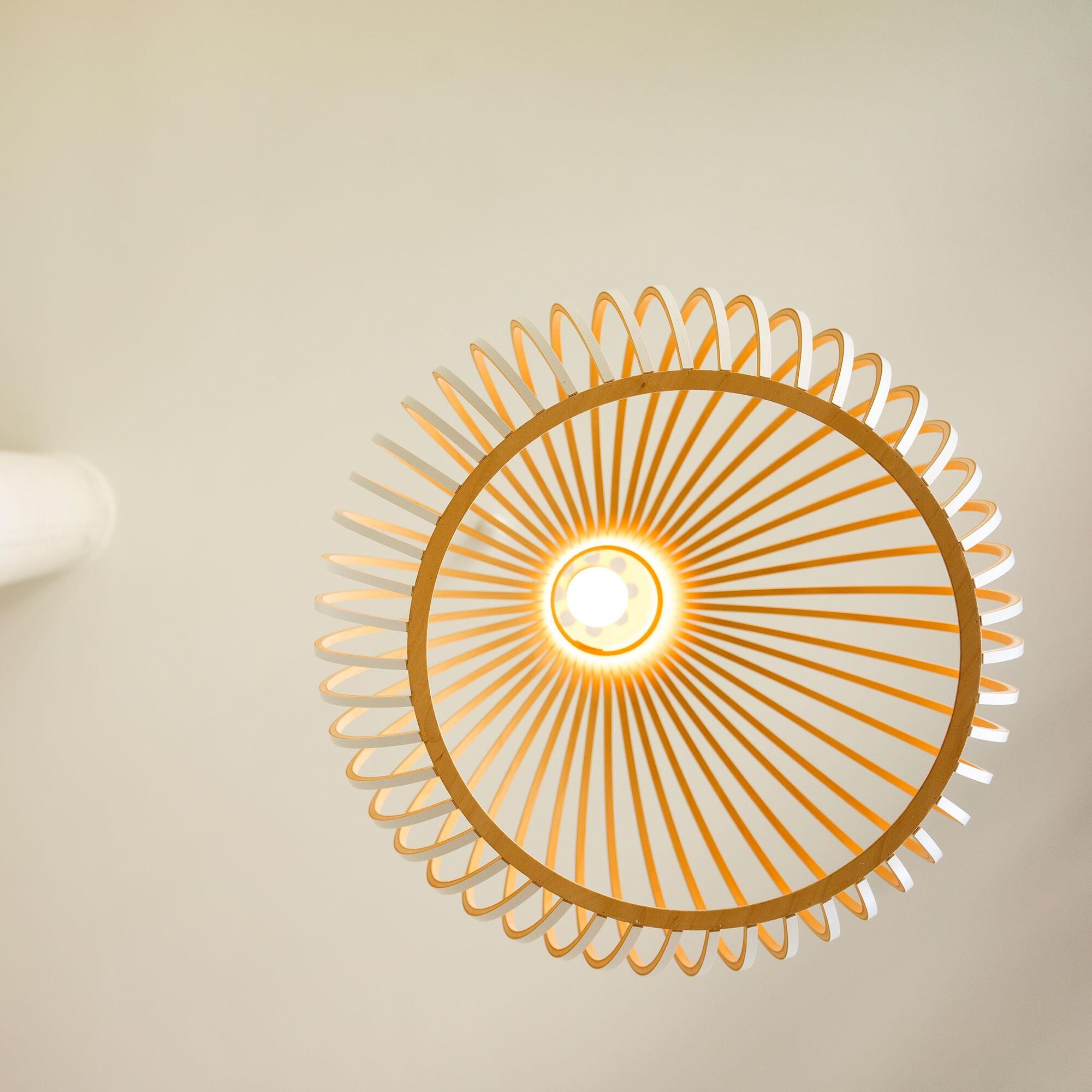 Octo 4240 Suspension Lamp