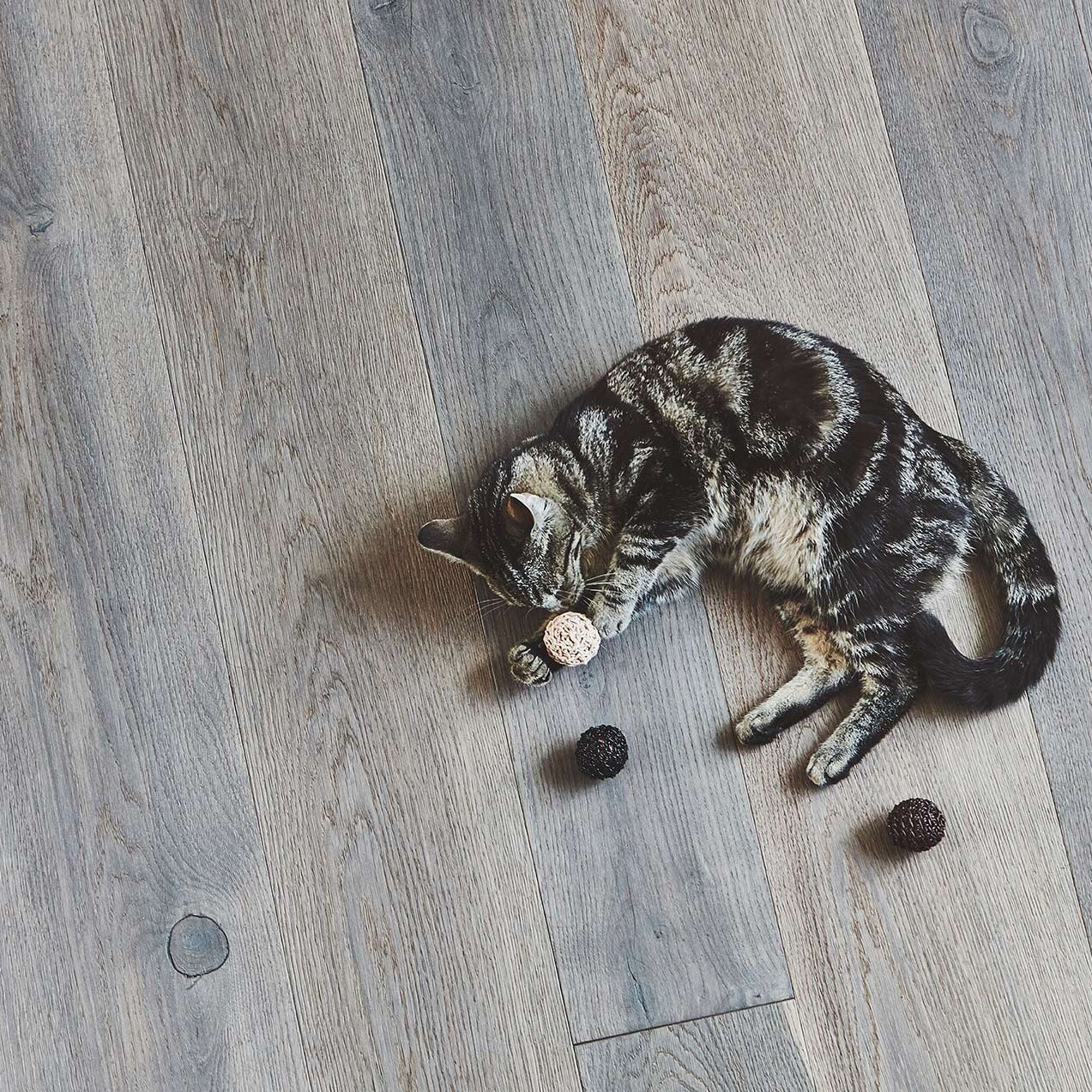 Filo Cat Toy Ball Set of 3