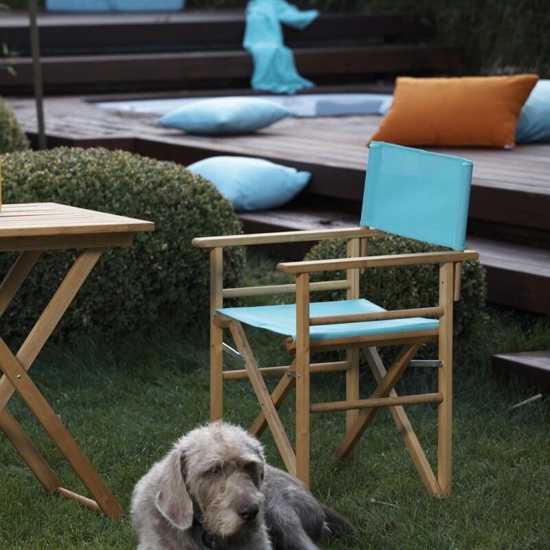 Maxx Director's Chair