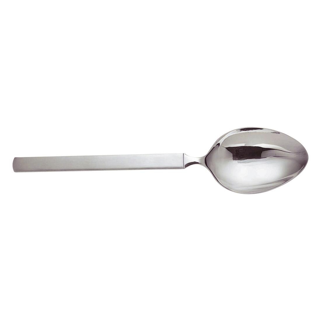 Dry Serving Spoon