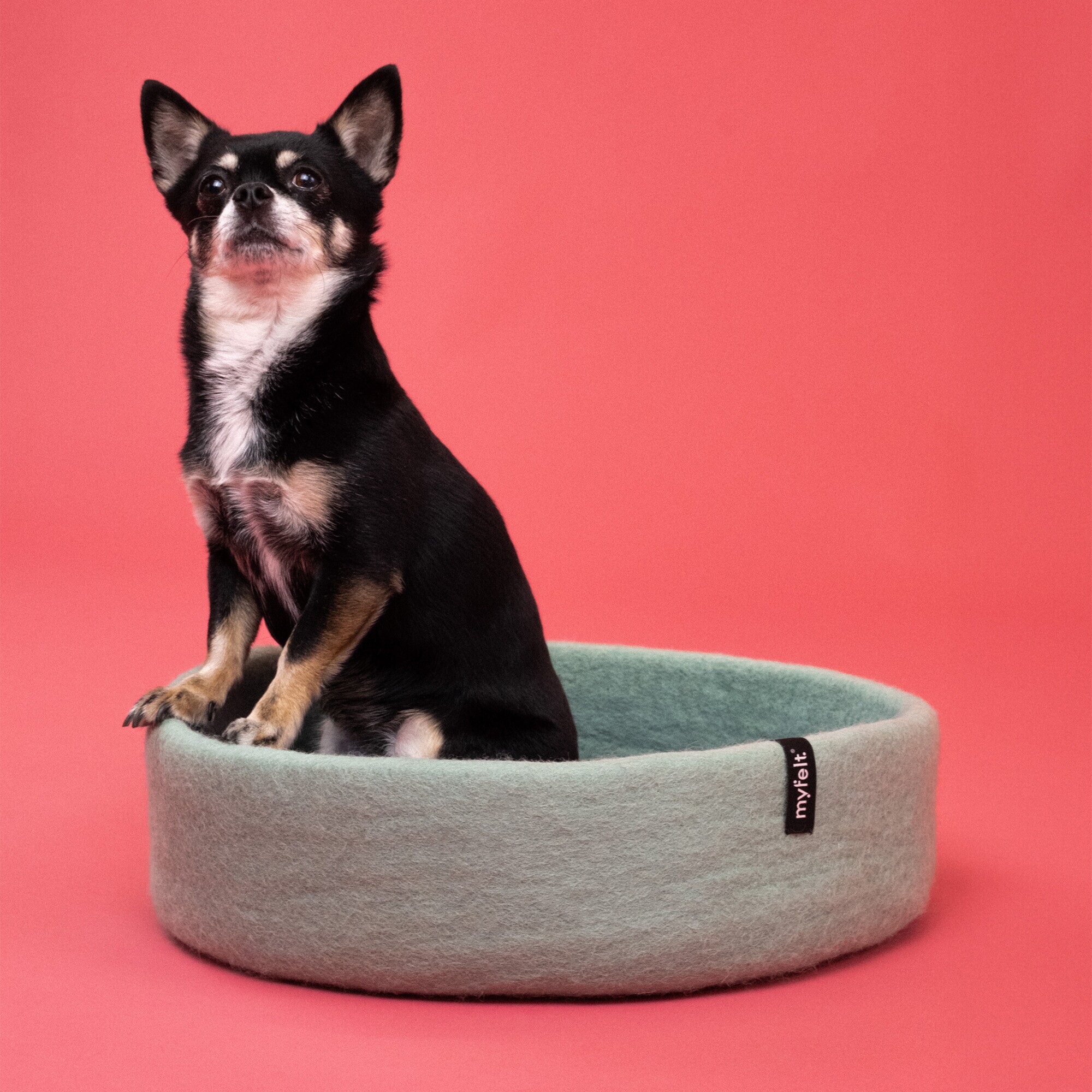 Fine Dog Basket Ø 40cm