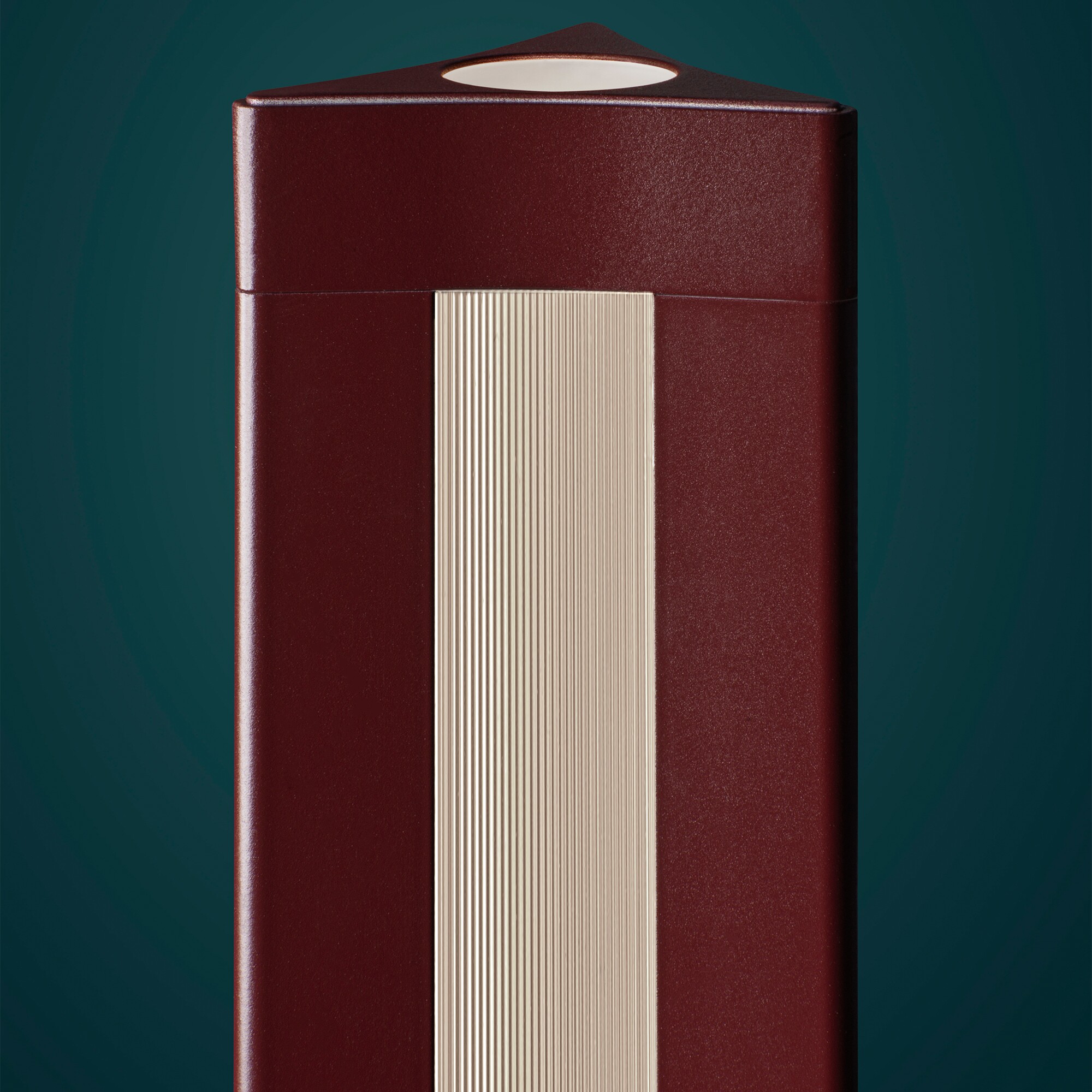 Chiaroscura LED Floor Lamp