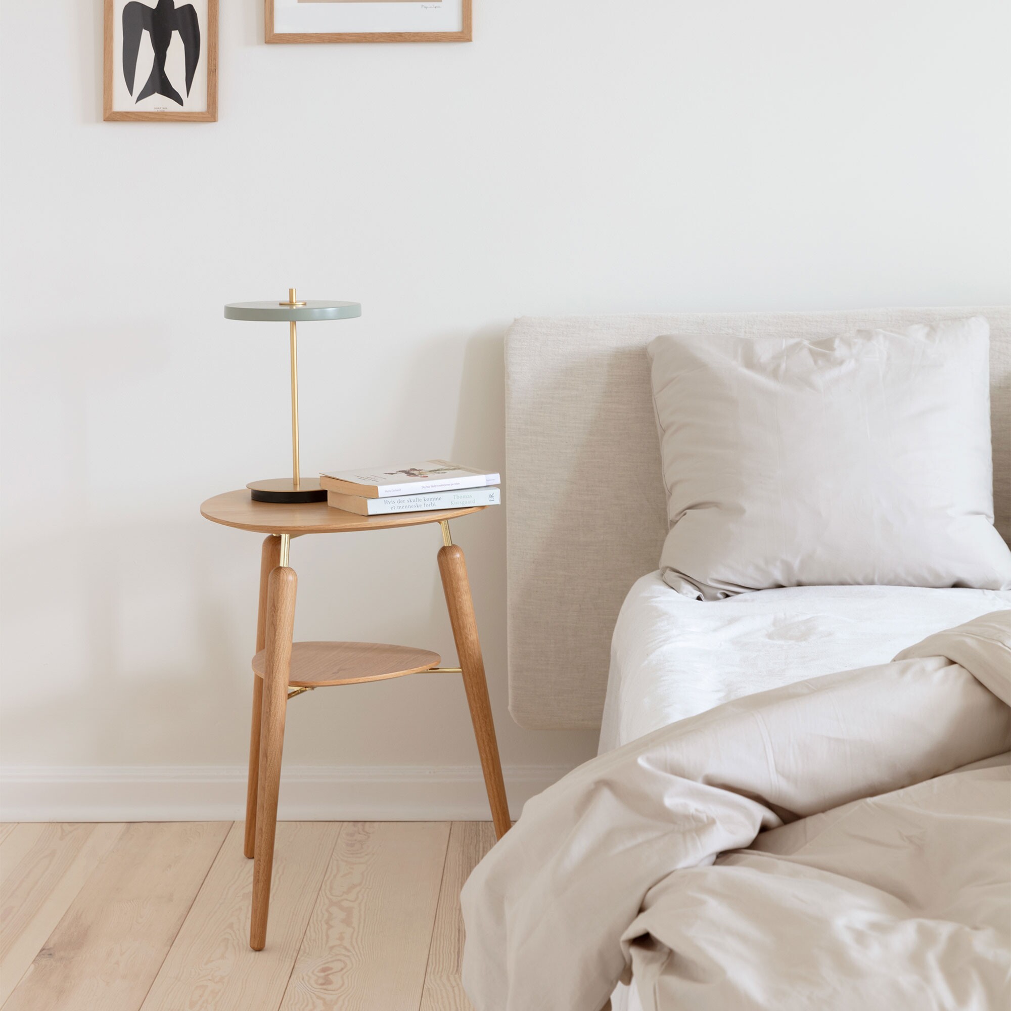 Asteria Move LED Table Lamp V2 with Battery