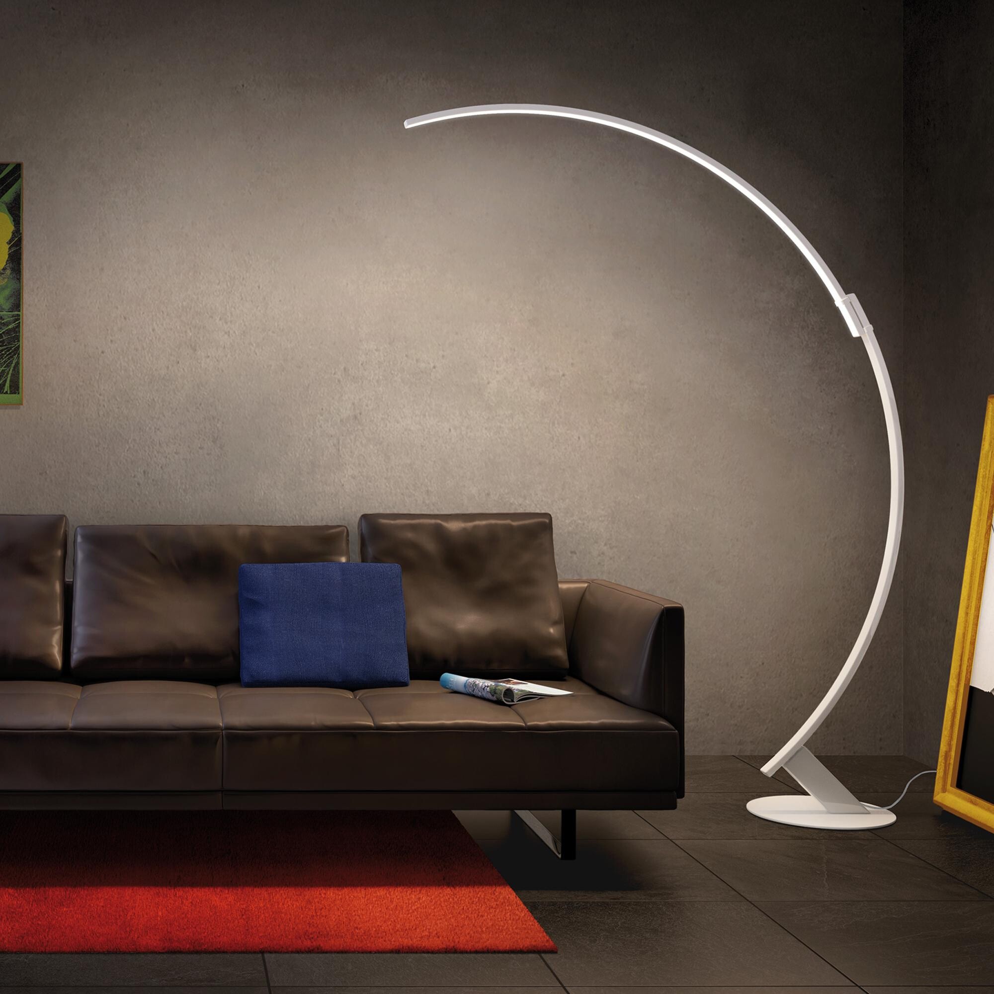 Kyudo LED Floor Lamp