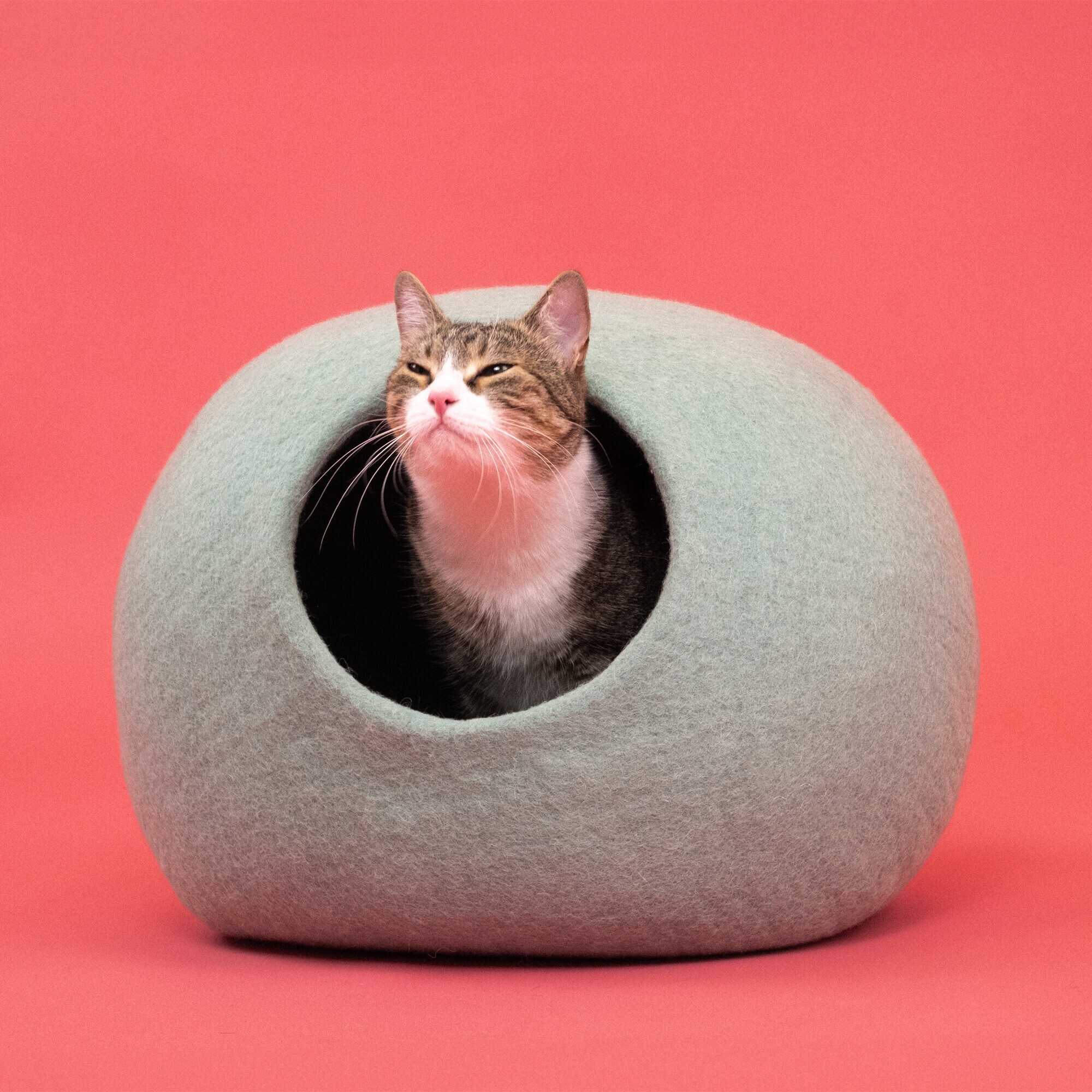 Fine Cat Cave
