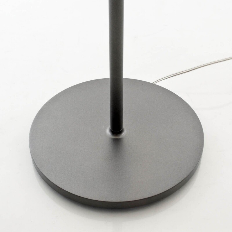 Choose Terra Floor Lamp