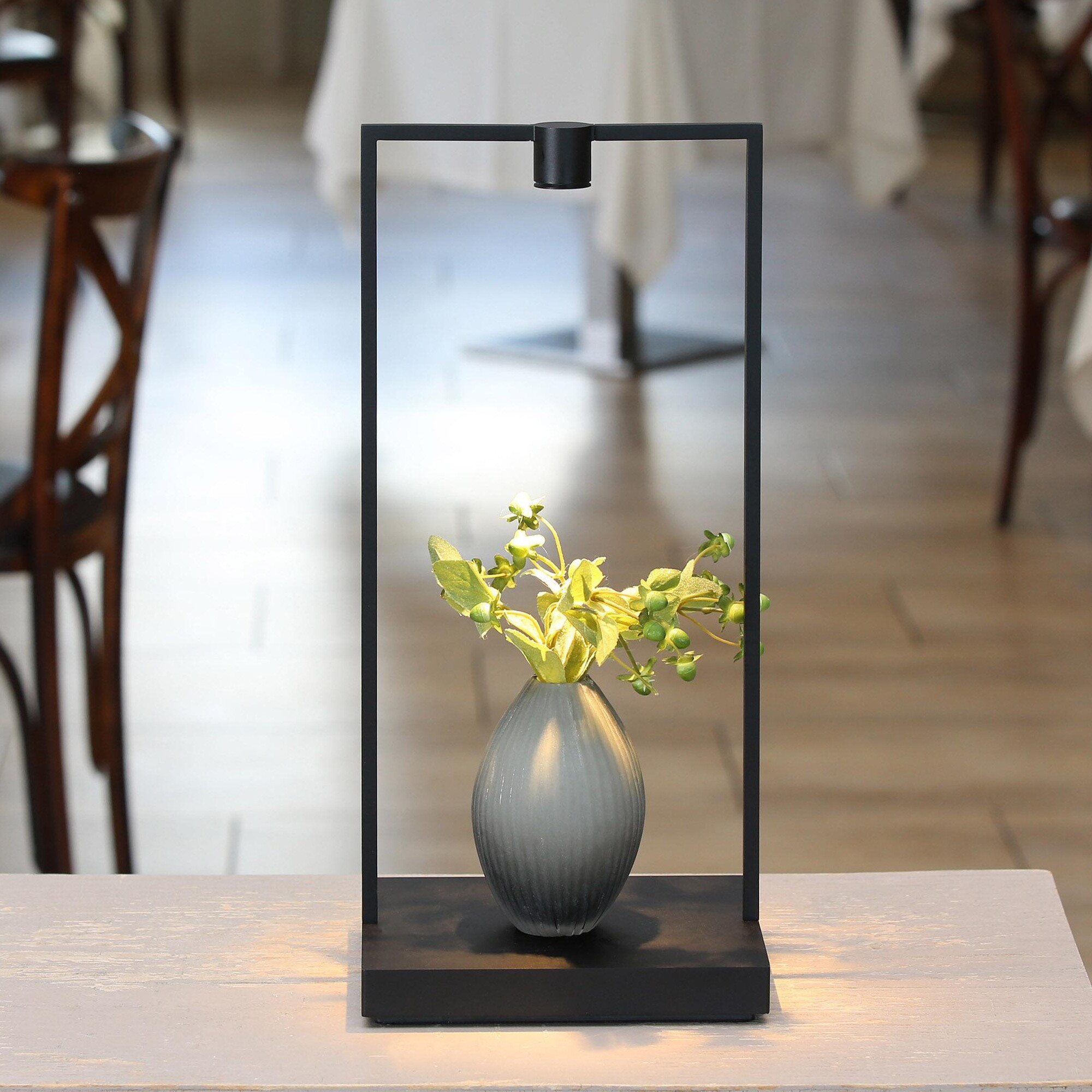 Curiosity 45 LED Table Lamp with Battery