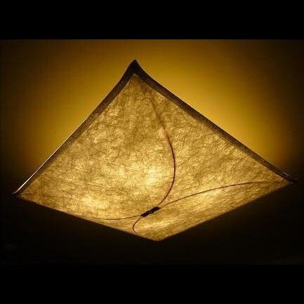 Ariette 2 Wall / Ceiling Lamp