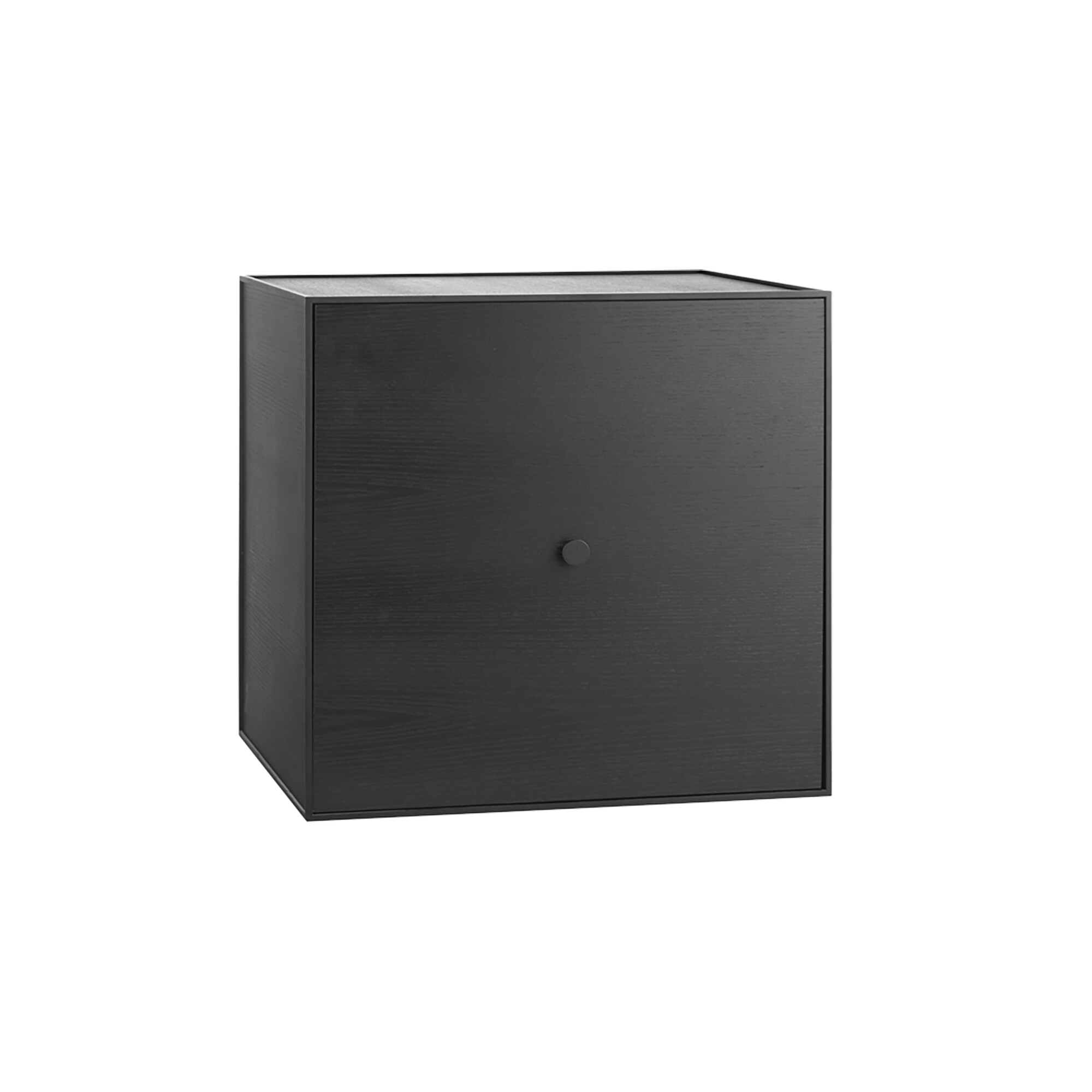 Frame 49 Modul with Door