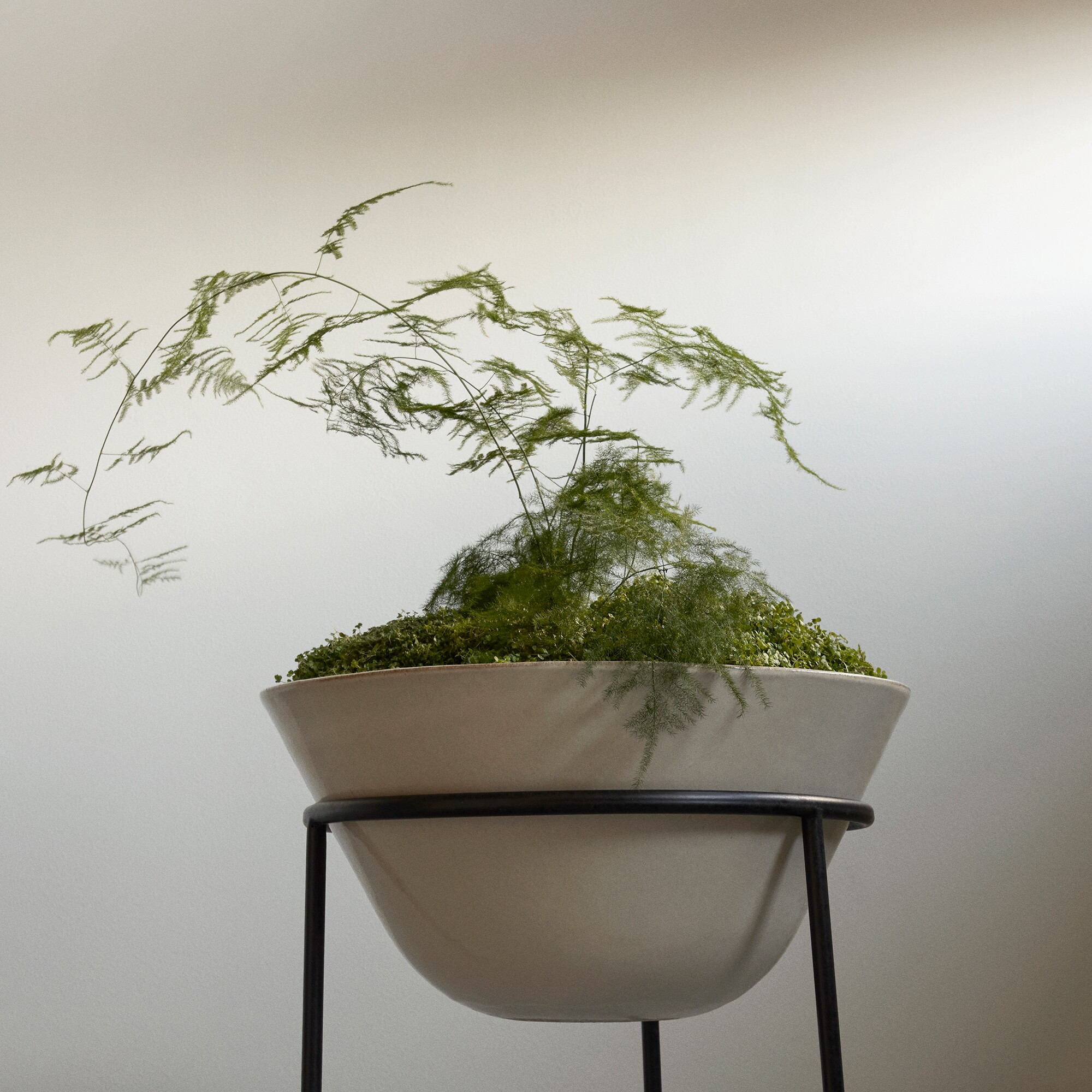 Daiza Planter H 35cm, Ø 48cm