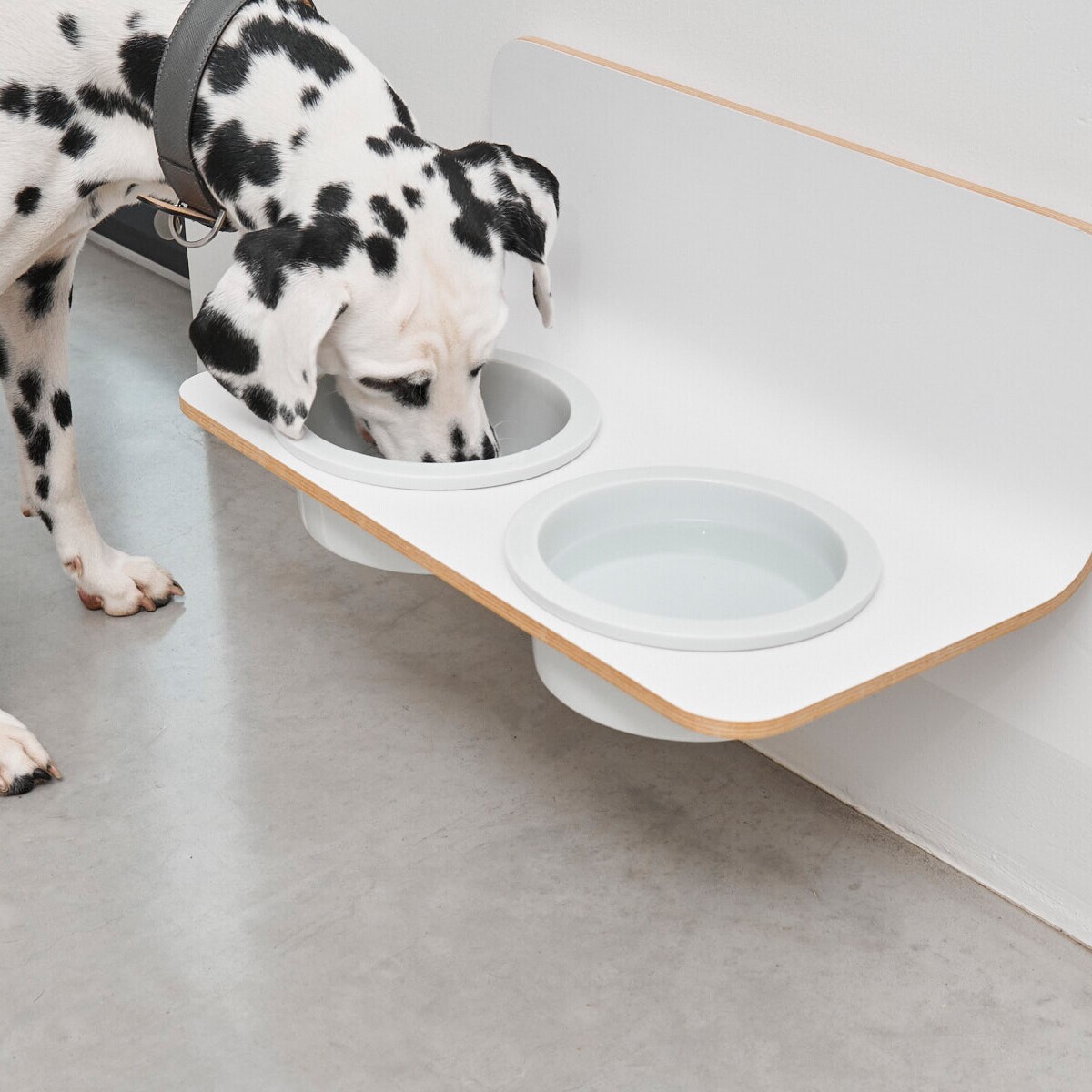 Arco Dog Bowl Holder ML with Porcelain Bowls