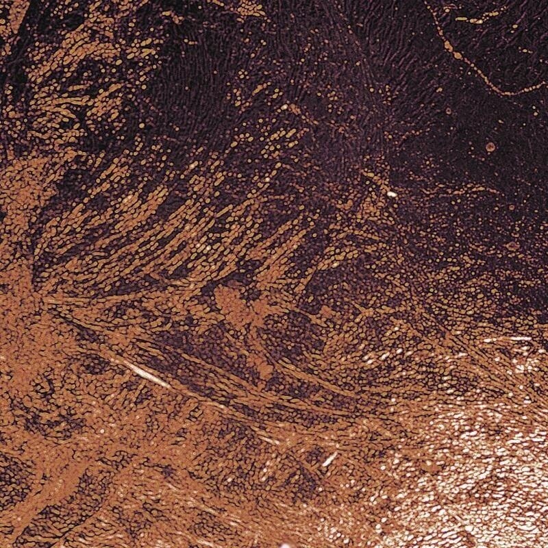 Lederam F2 LED Floor Lamp