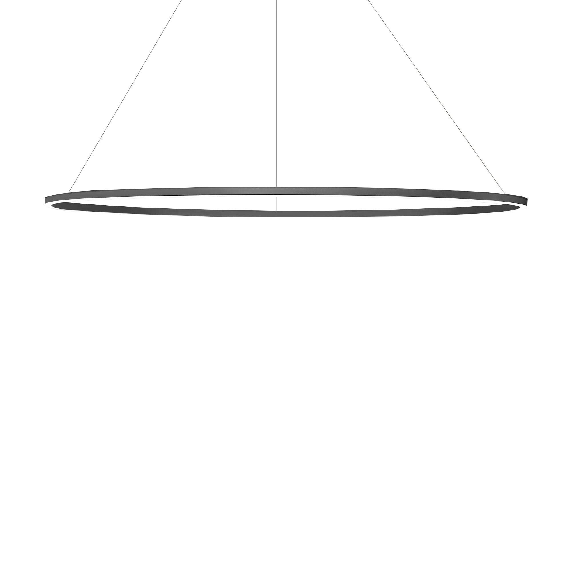 Ellisse Major Downlight LED Suspension Lamp