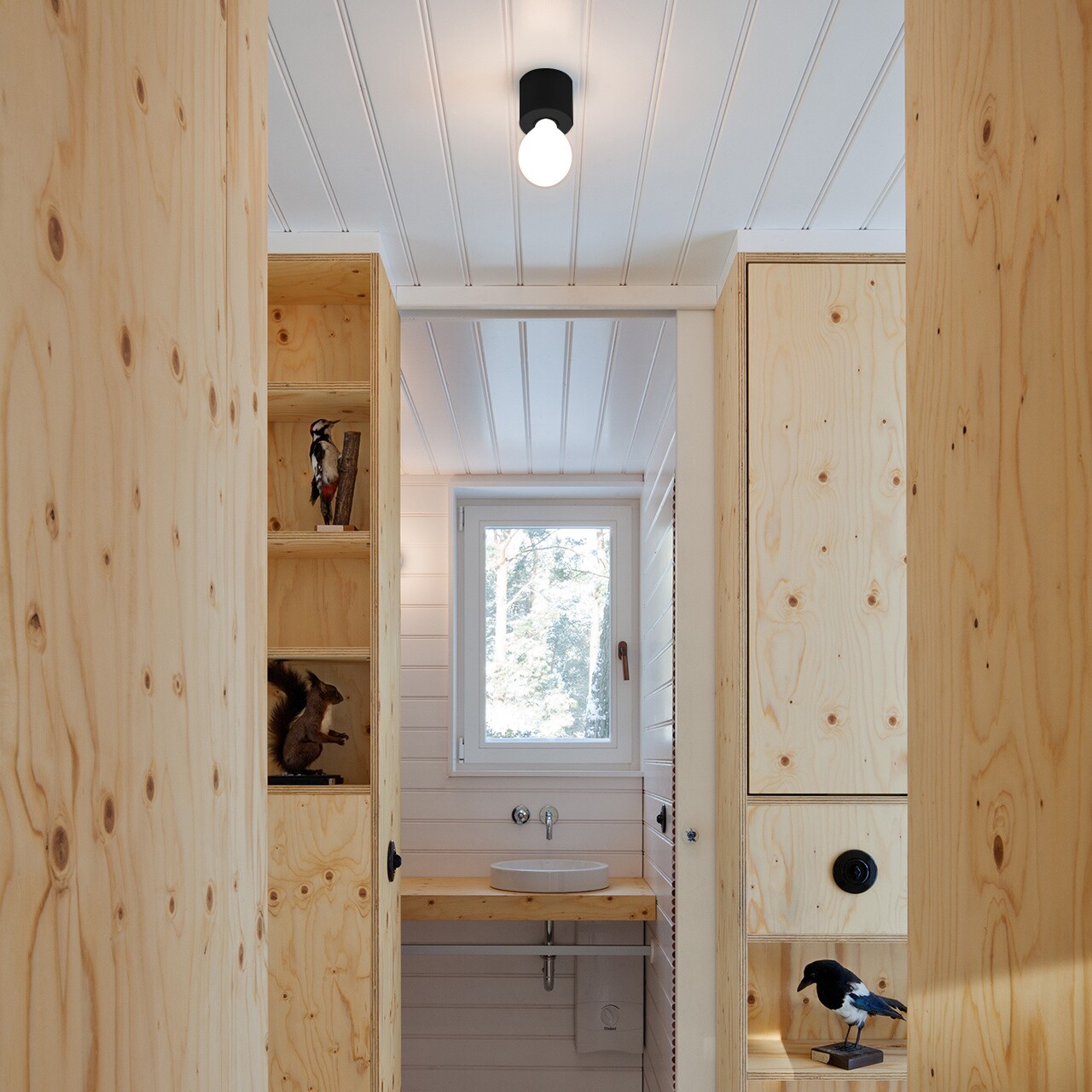 Eintopf Wall Lamp/Ceiling Lamp