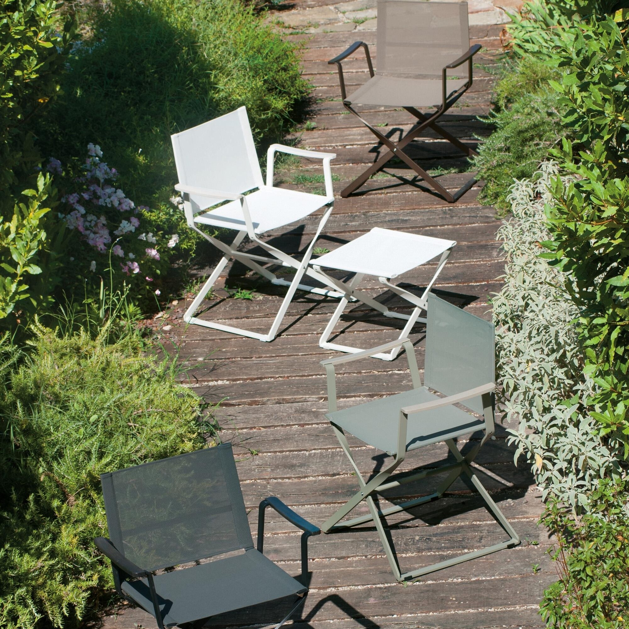 Ciak Director's Chair Foldable