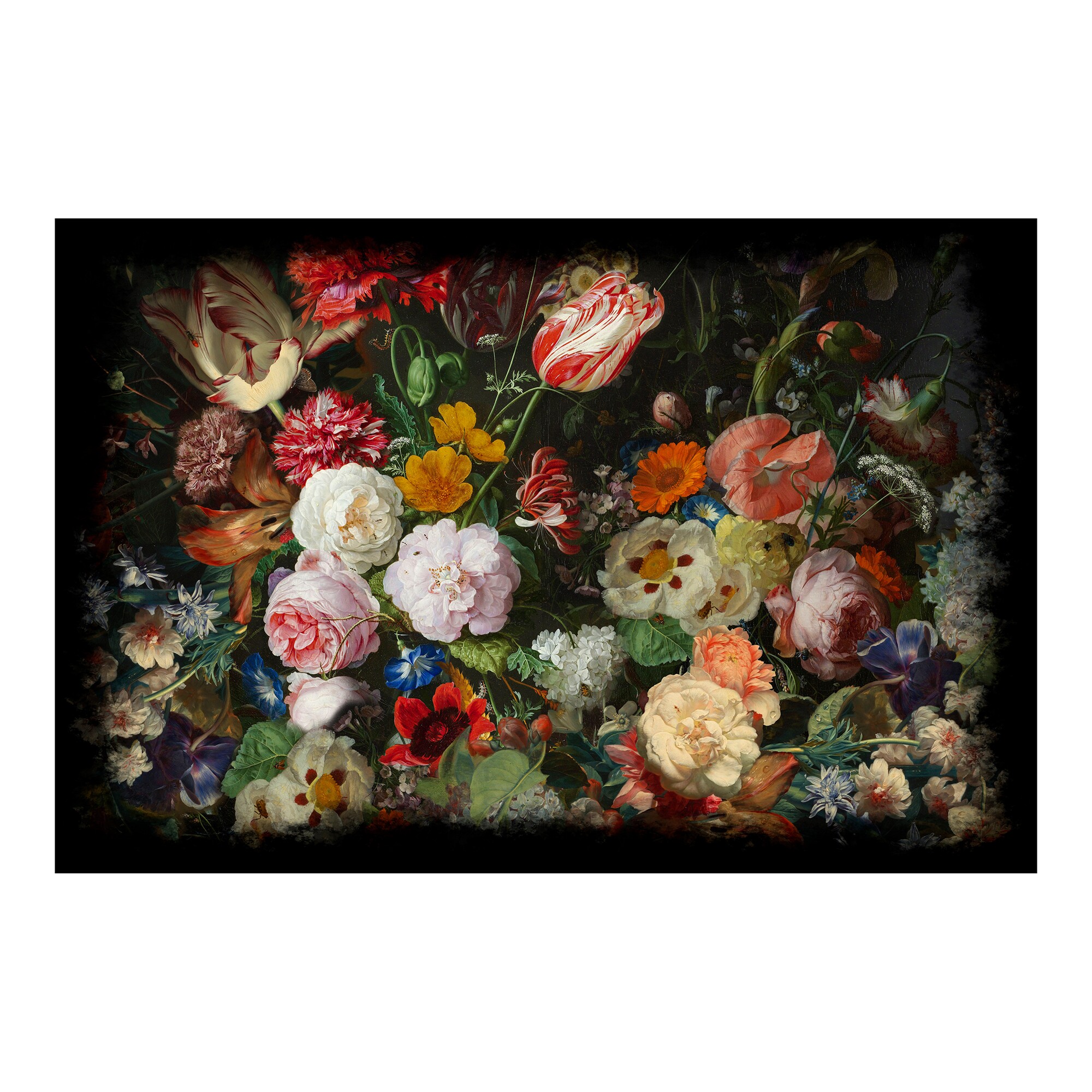 Eden Queen Rectangle Carpet