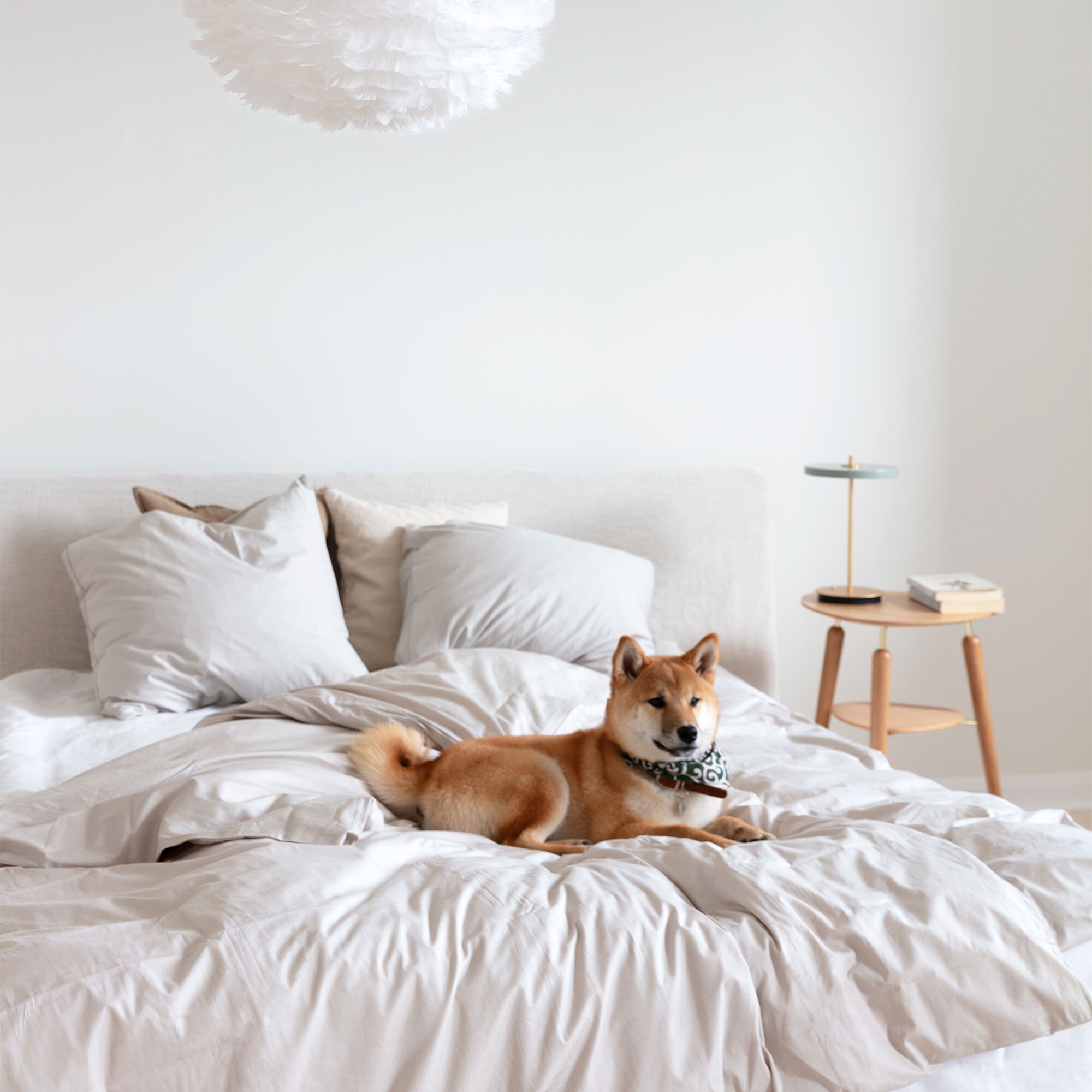 Asteria Move LED Table Lamp V2 with Battery