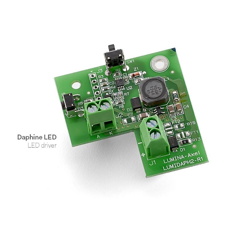 Daphine LED Desk Lamp