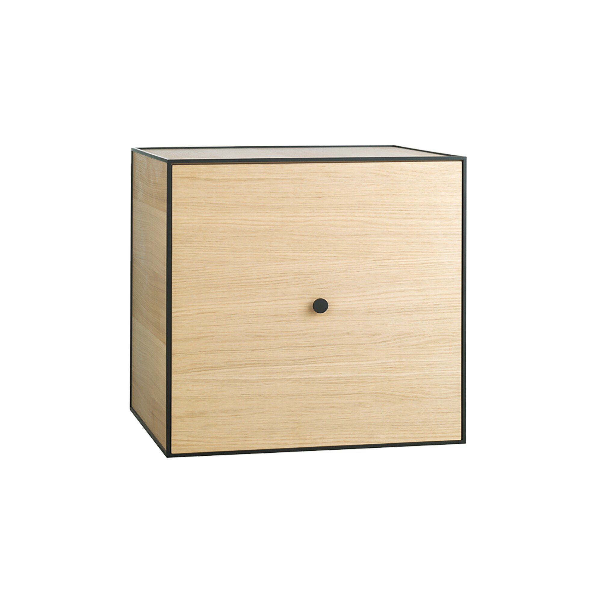 Frame 49 Modul with Door