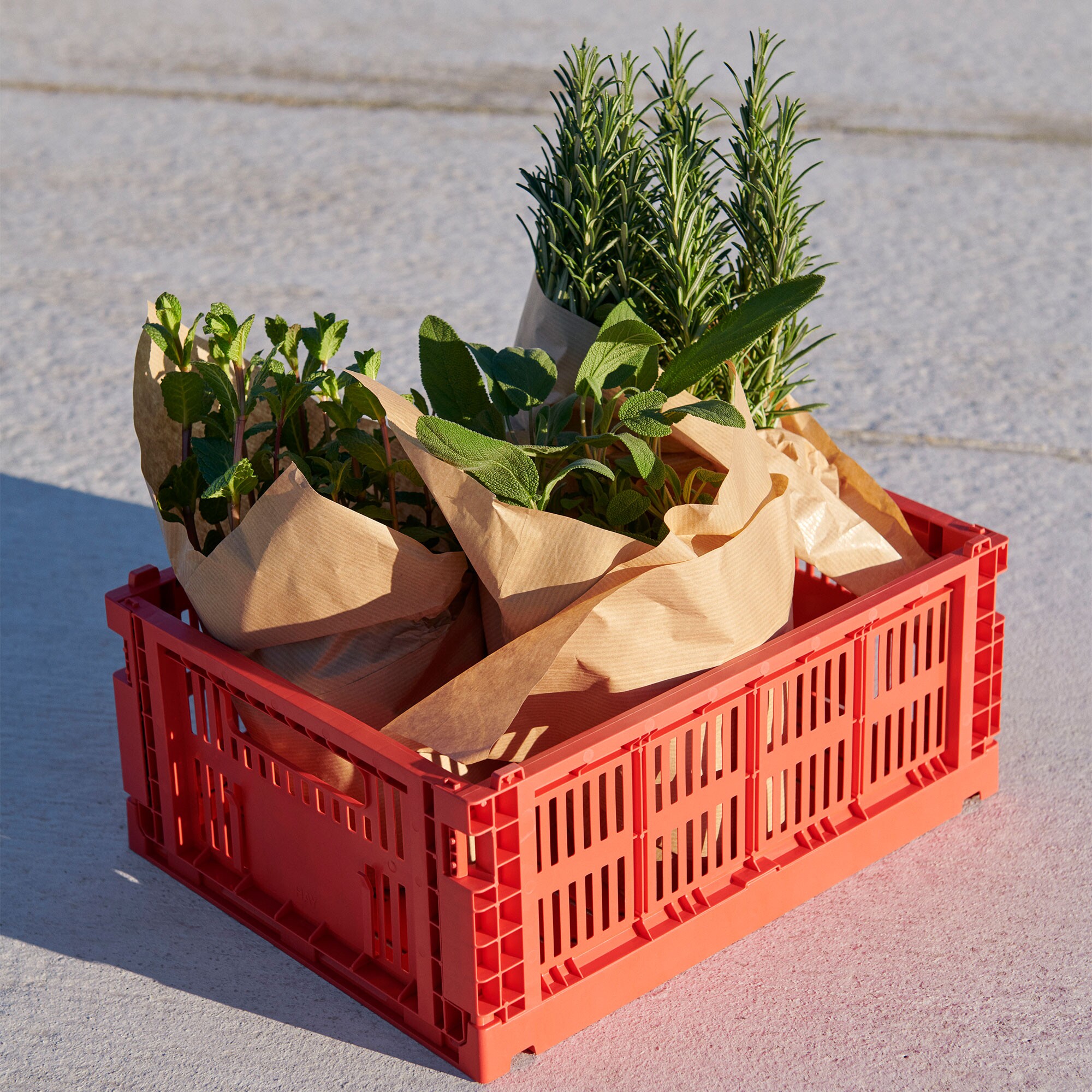 Colour Crate Recycled M