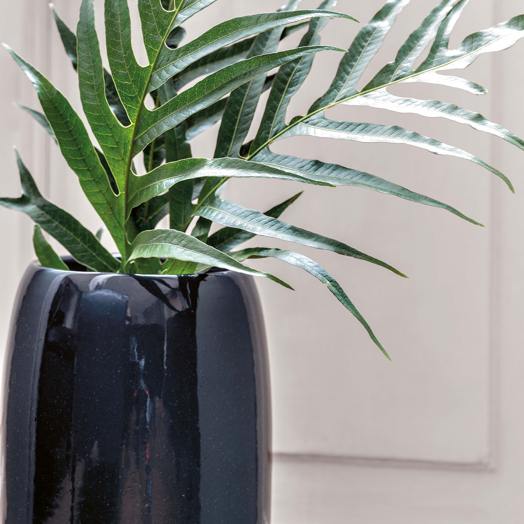 Carlo Umbrella Stand