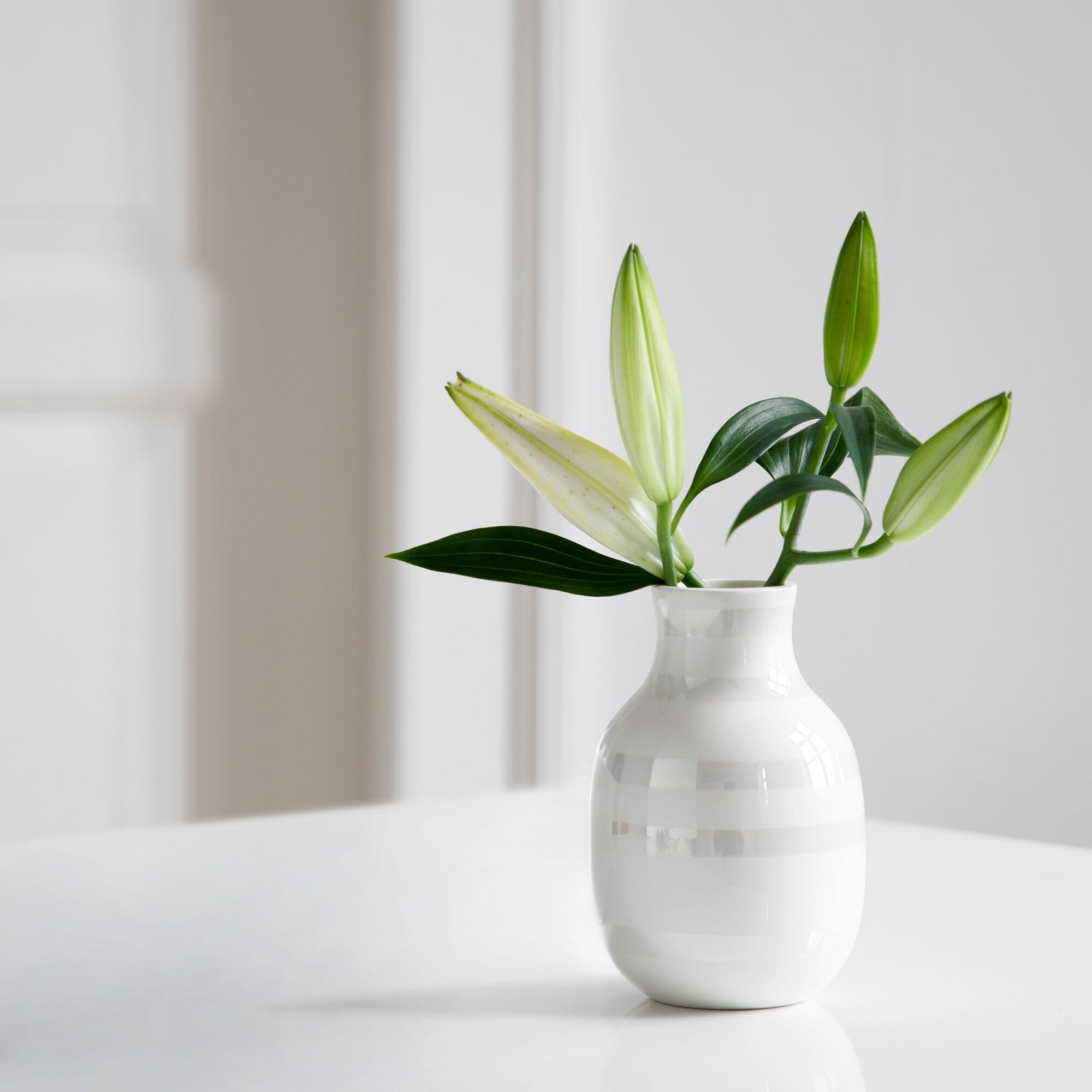 Omaggio Vase H 12.5cm