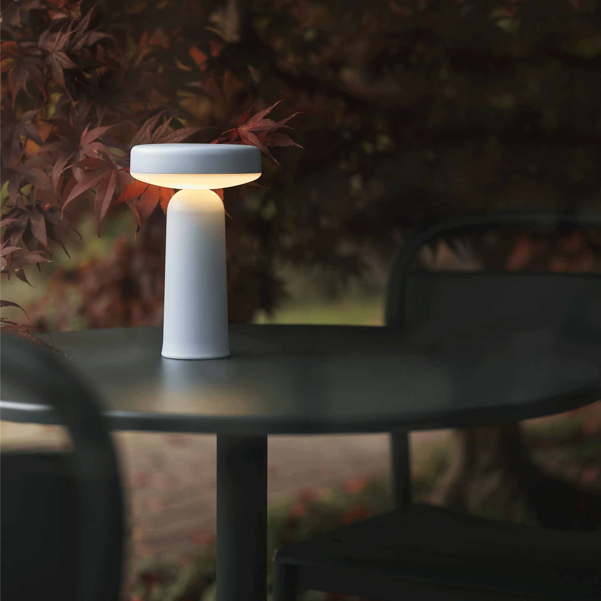 Ease Portable LED Outdoor Lamp with Battery