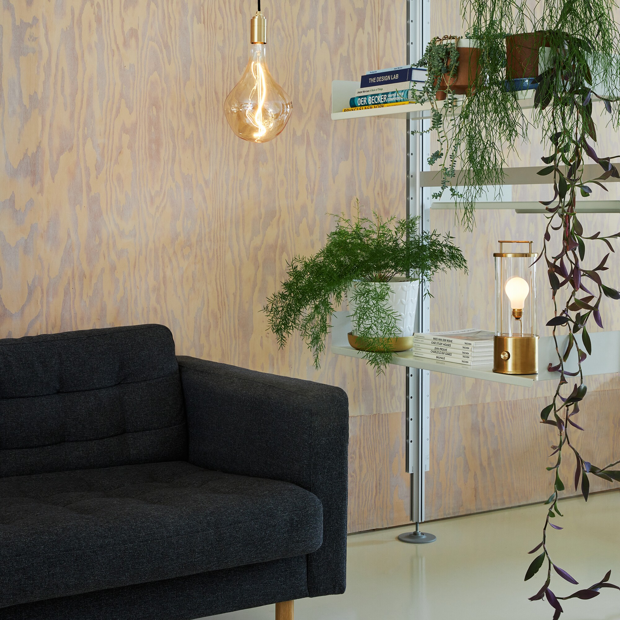 Special Edition The Muse LED Lamp with Battery