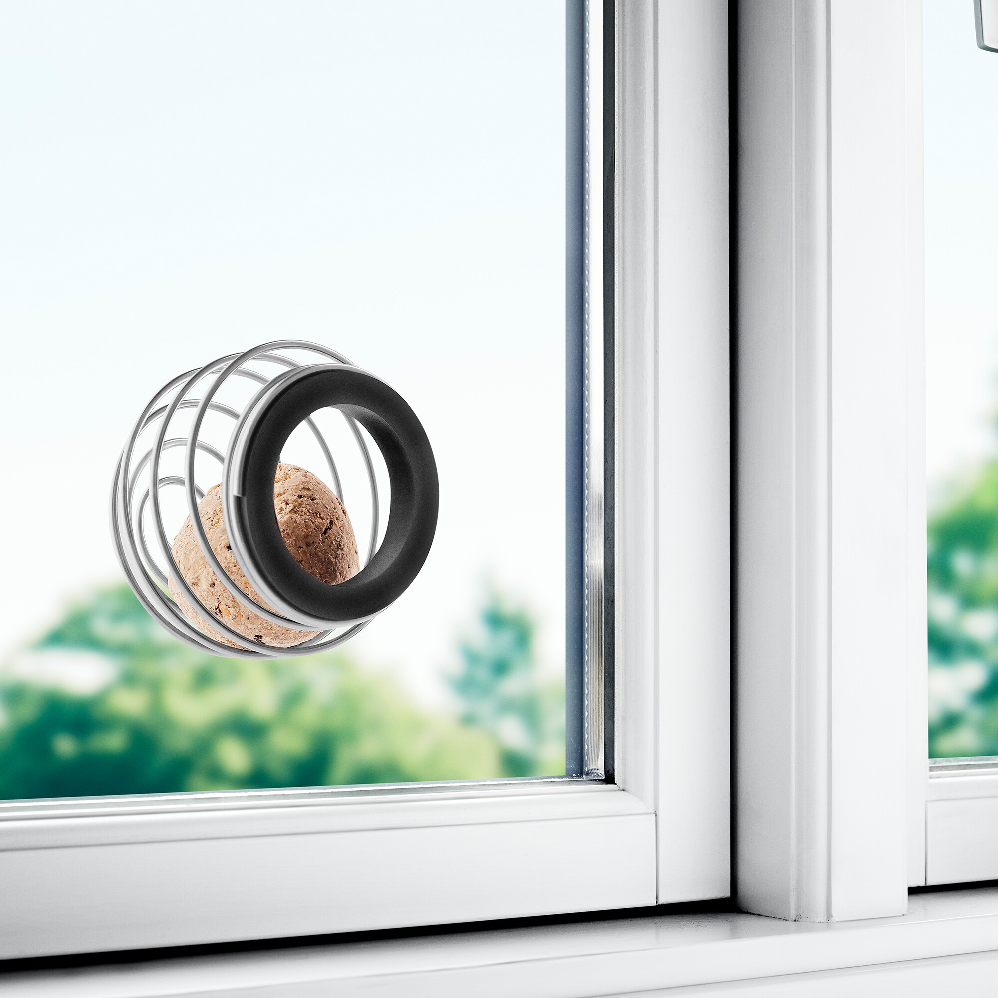 Window Suet Bird Feeder