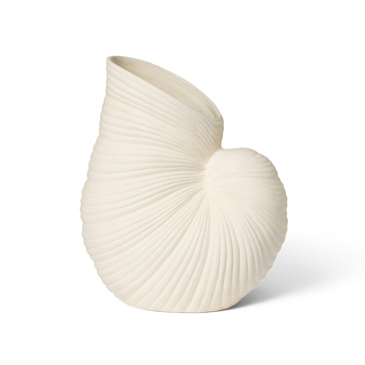 Shell Vase