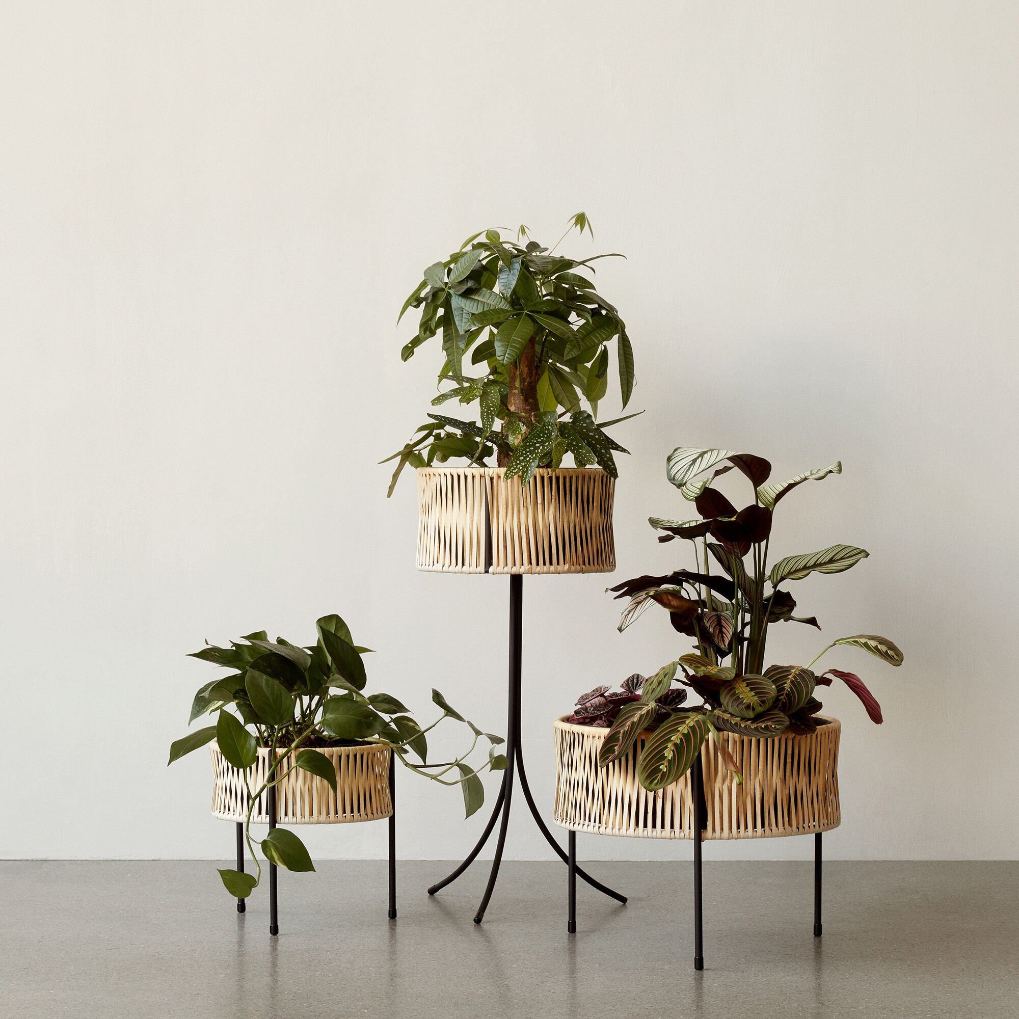 Umanoff 32.5 Planter