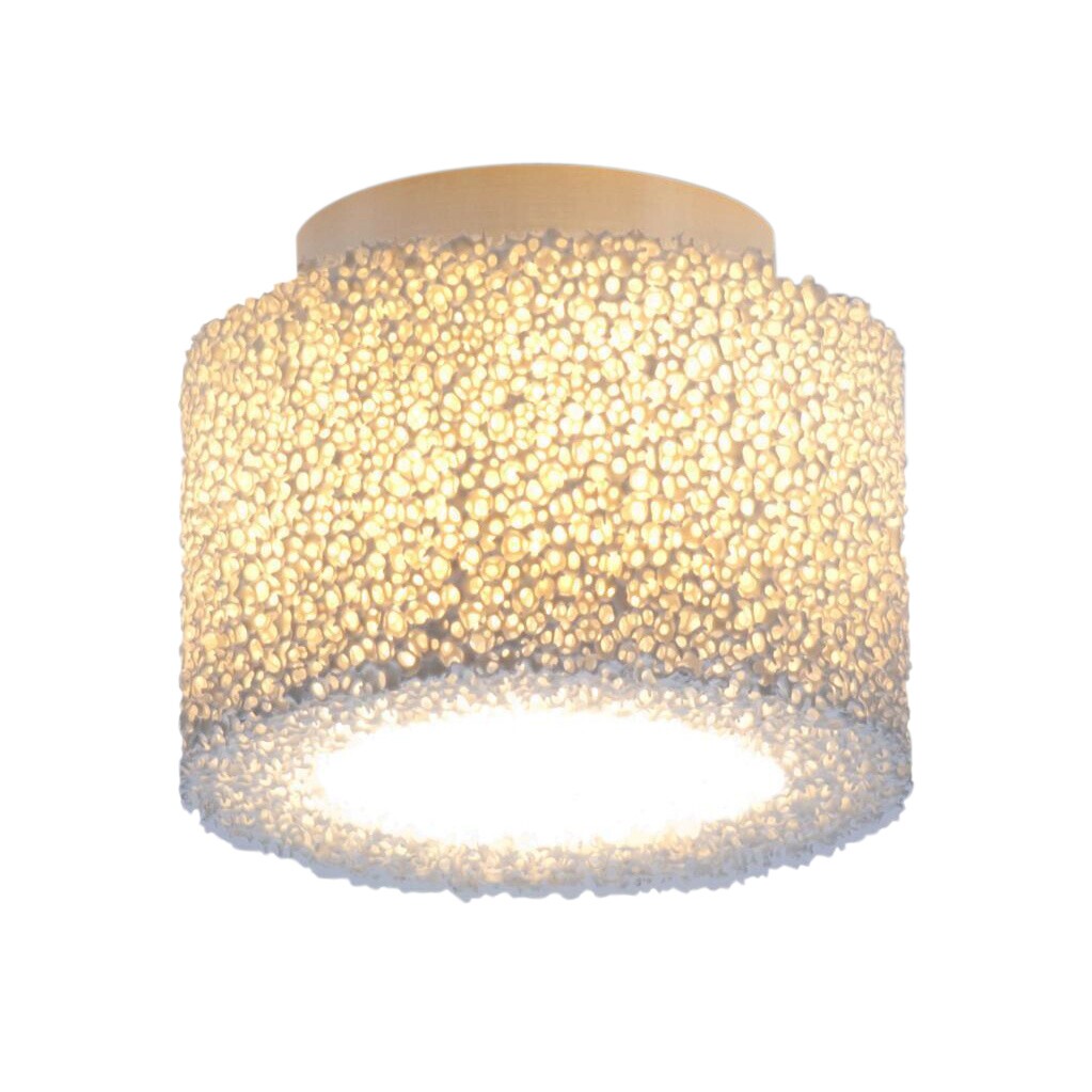Reef Ceiling Lamp