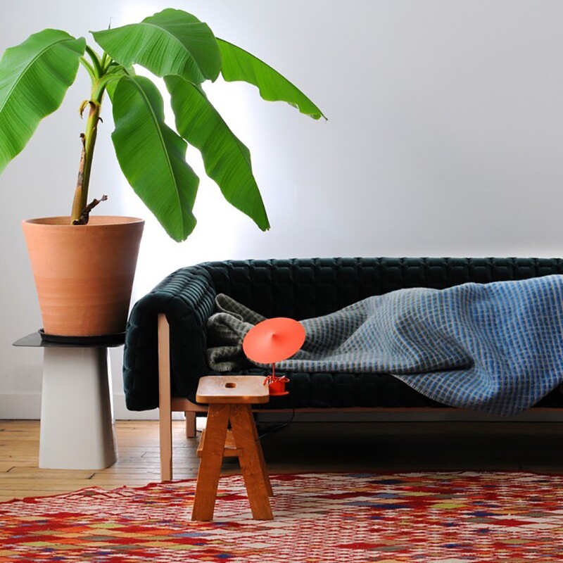 w153 Île LED Table Lamp/Wall Lamp