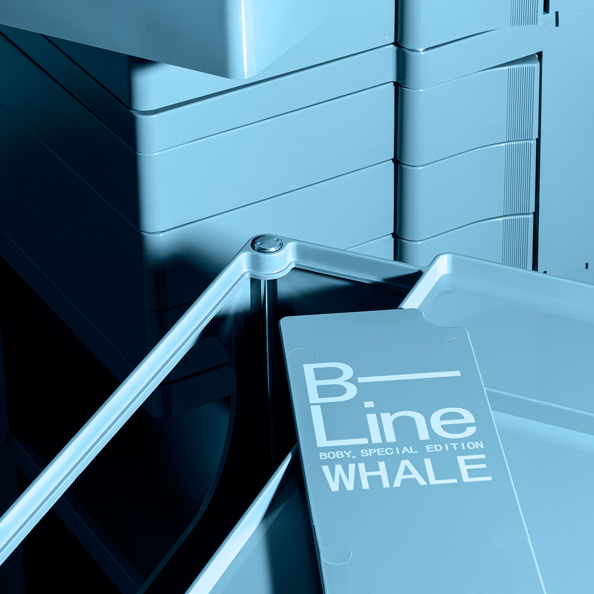 Special Edition Boby 2/2 Container on Wheels S